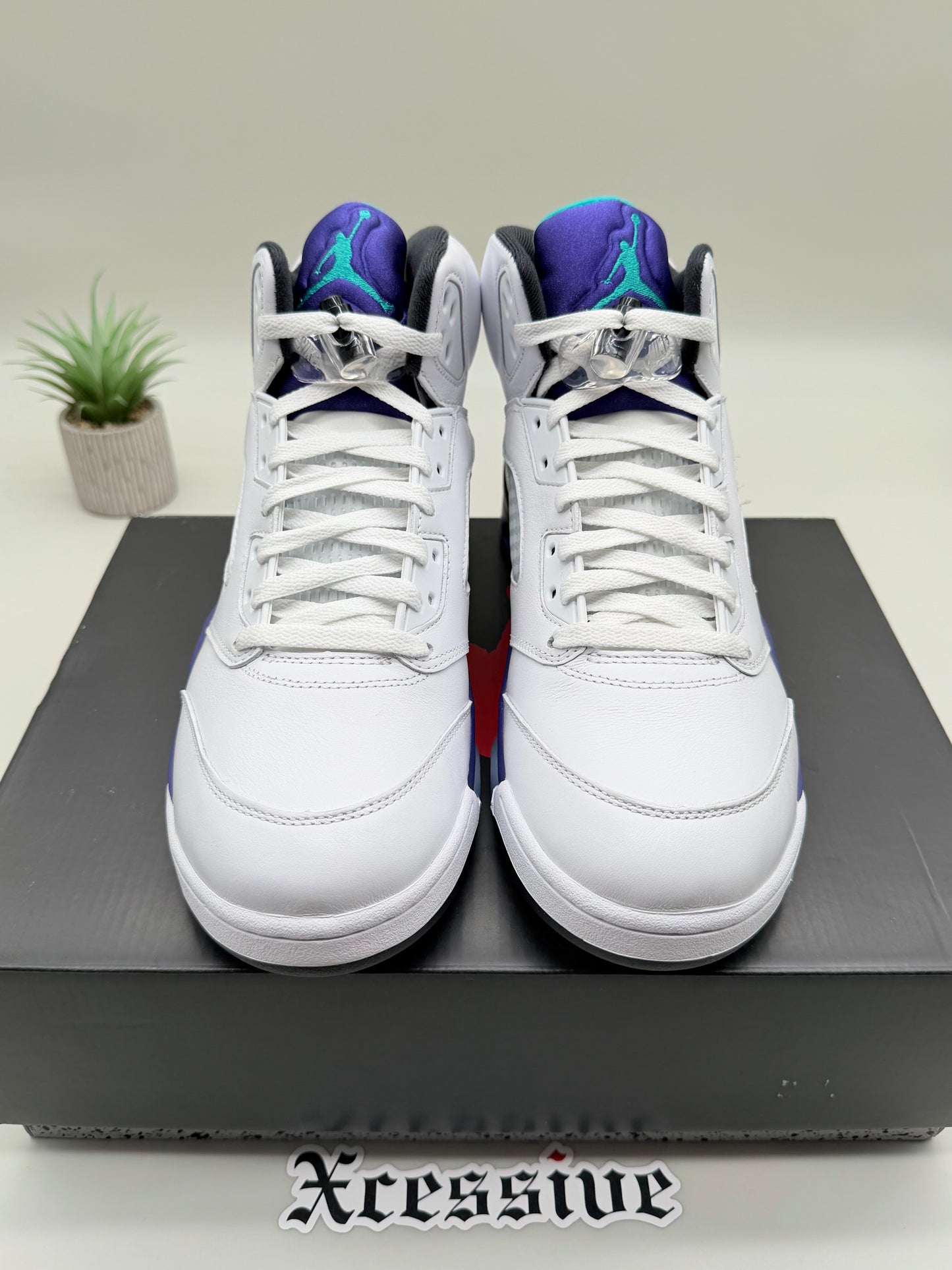 Jordan 5 Grape