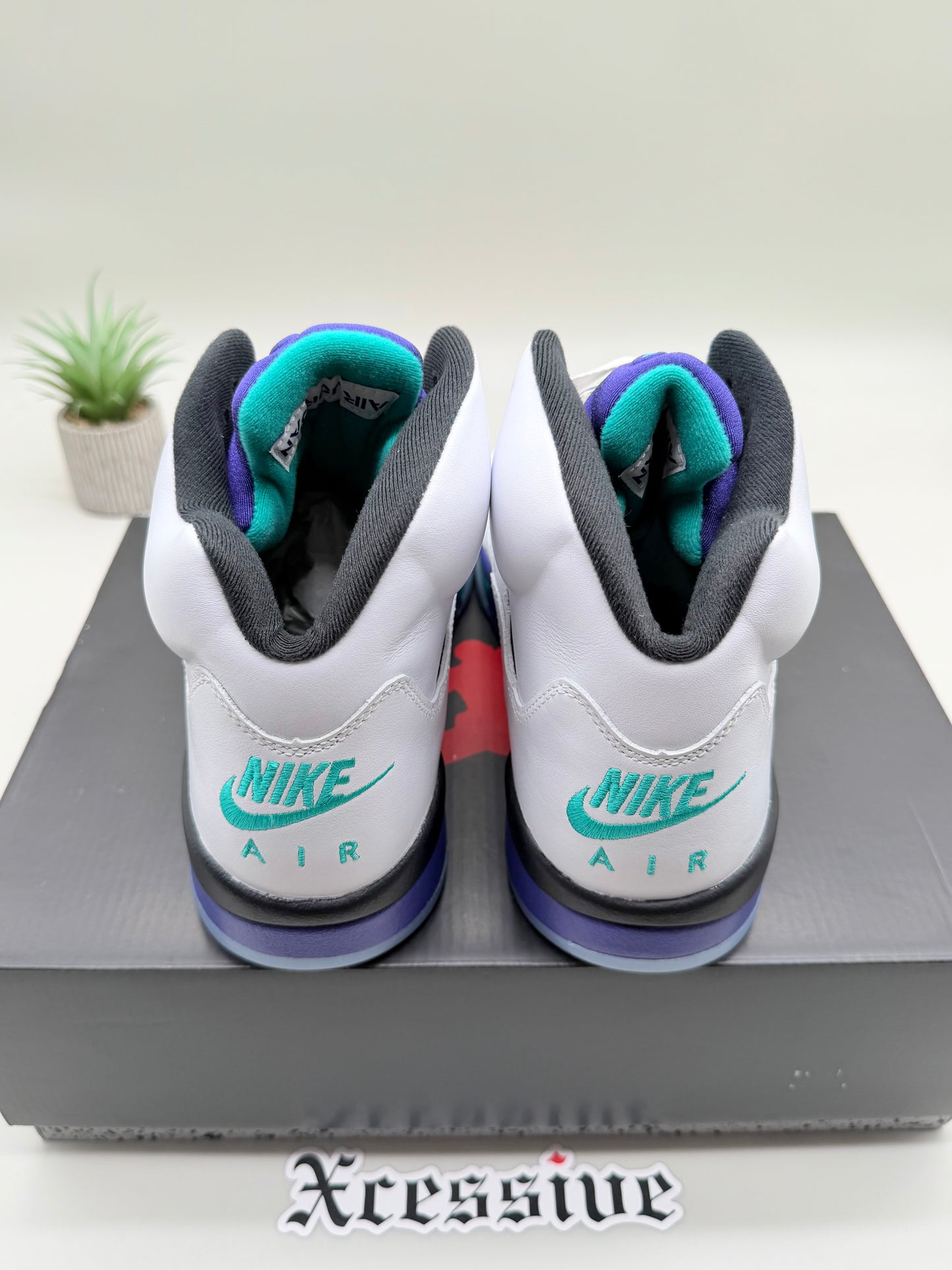 Jordan 5 Grape