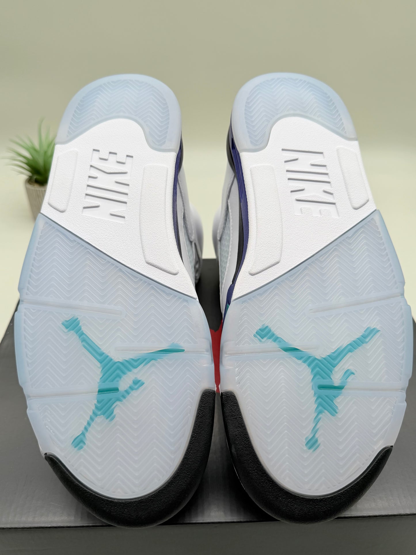 Jordan 5 Grape