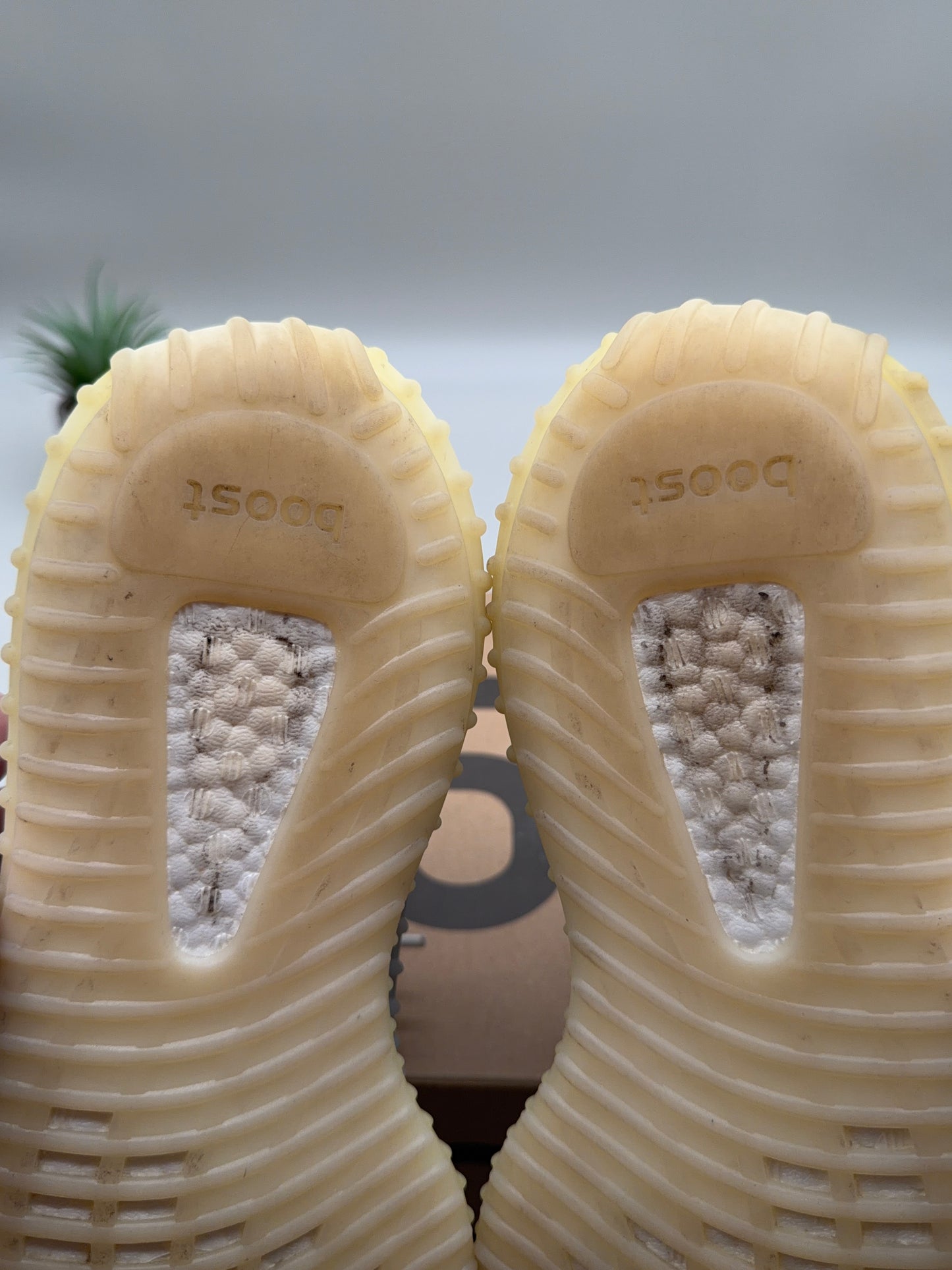 Adidas Yeezy Boost 350 V2 Zebra