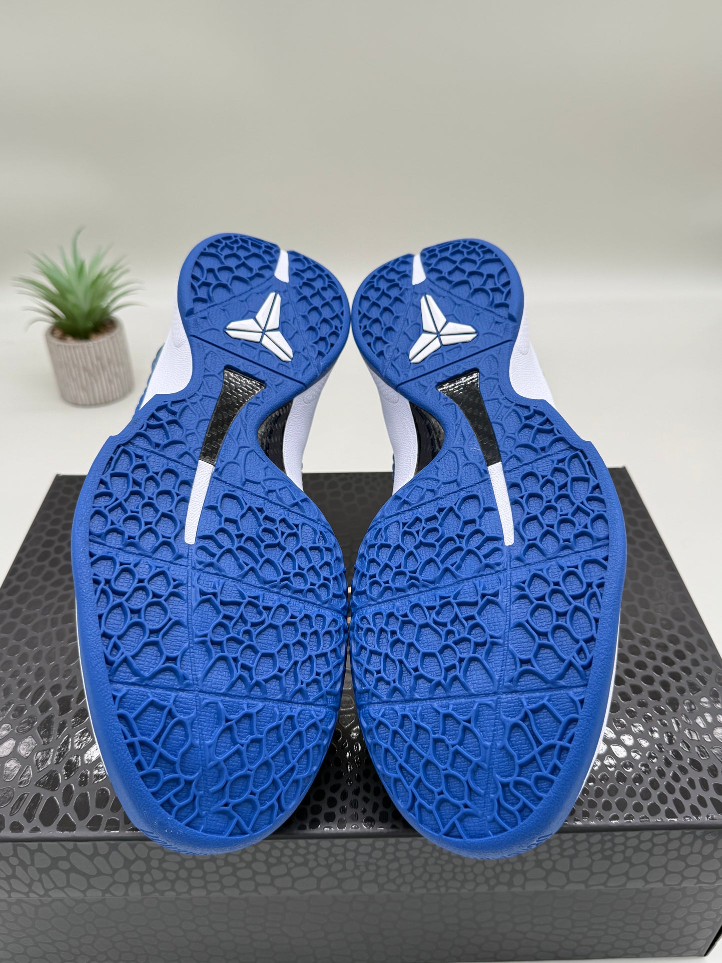 Nike Kobe 6 Dodgers