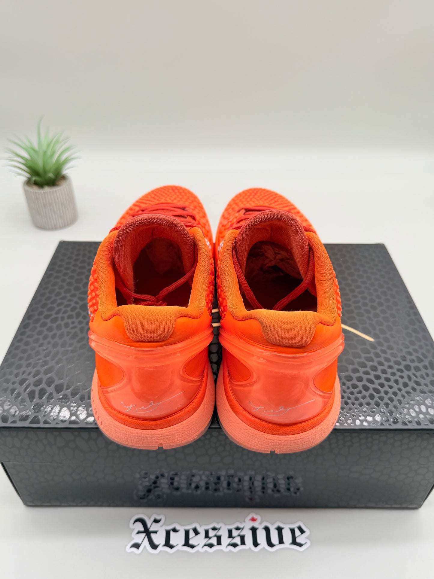 Nike Kobe 6 Total Orange