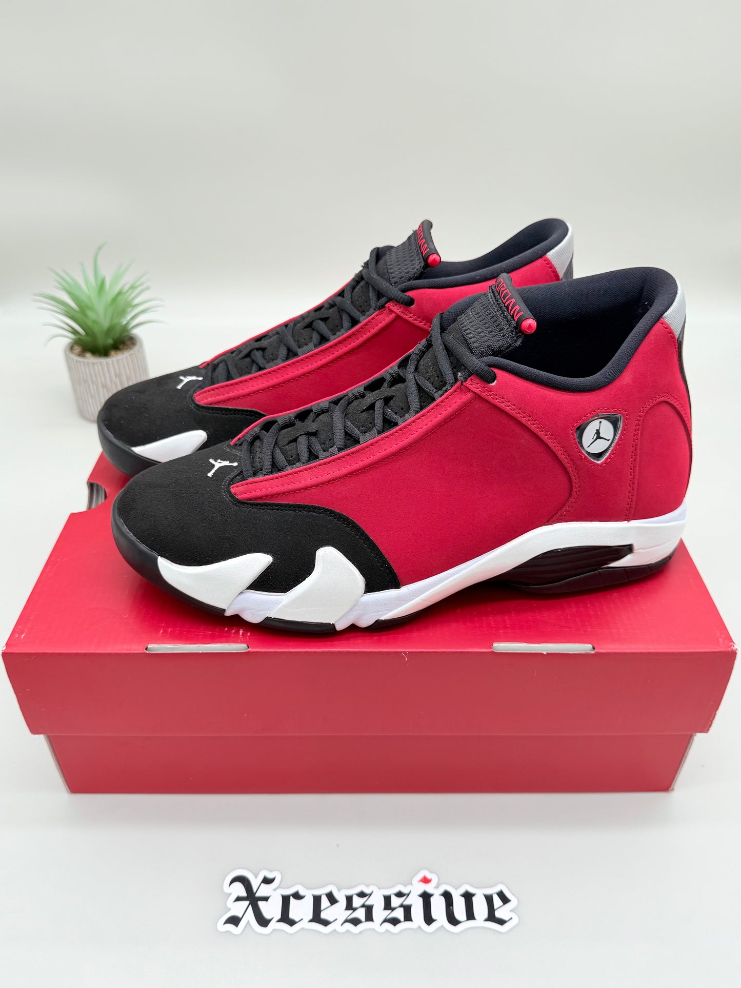Jordan 14 Gym Red Toro