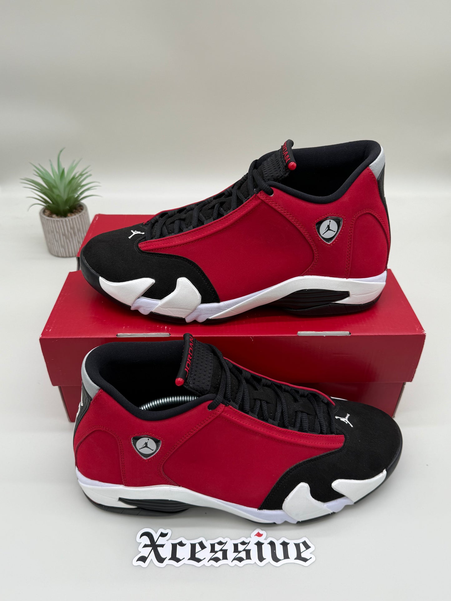 Jordan 14 Gym Red Toro