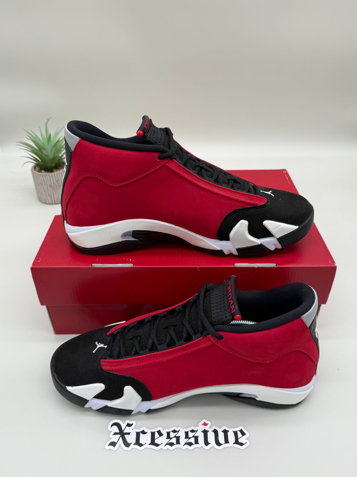 Jordan 14 Gym Red Toro