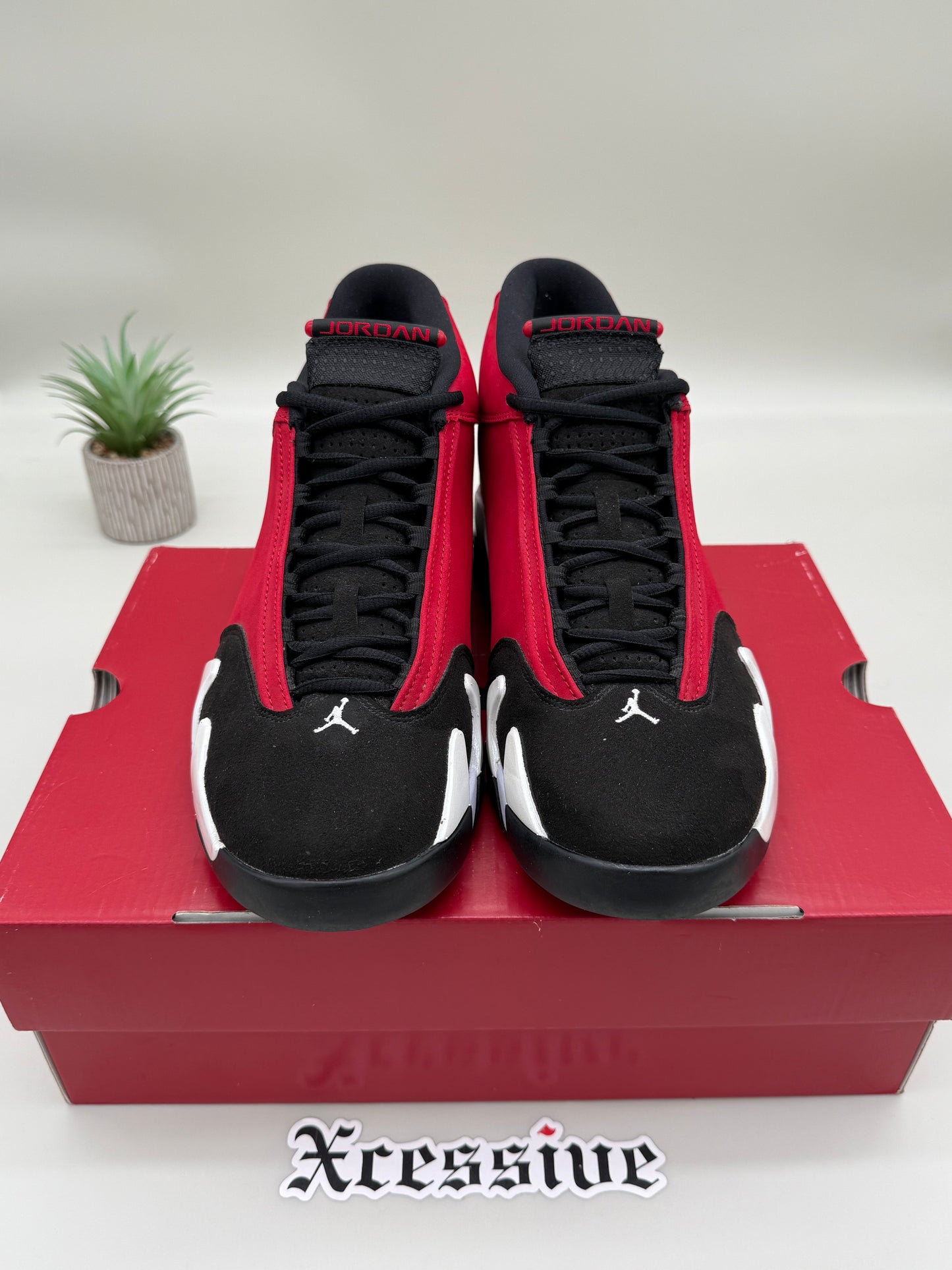 Jordan 14 Gym Red Toro