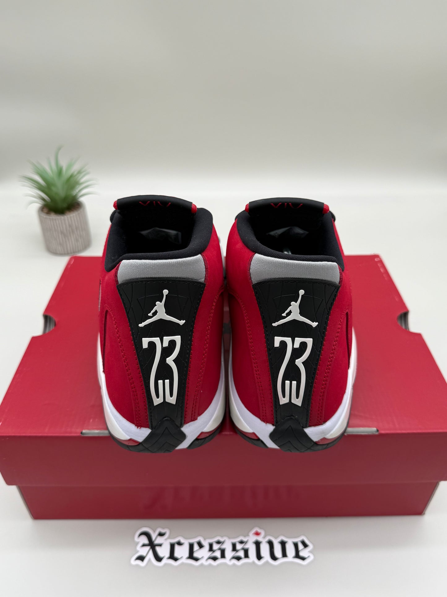 Jordan 14 Gym Red Toro