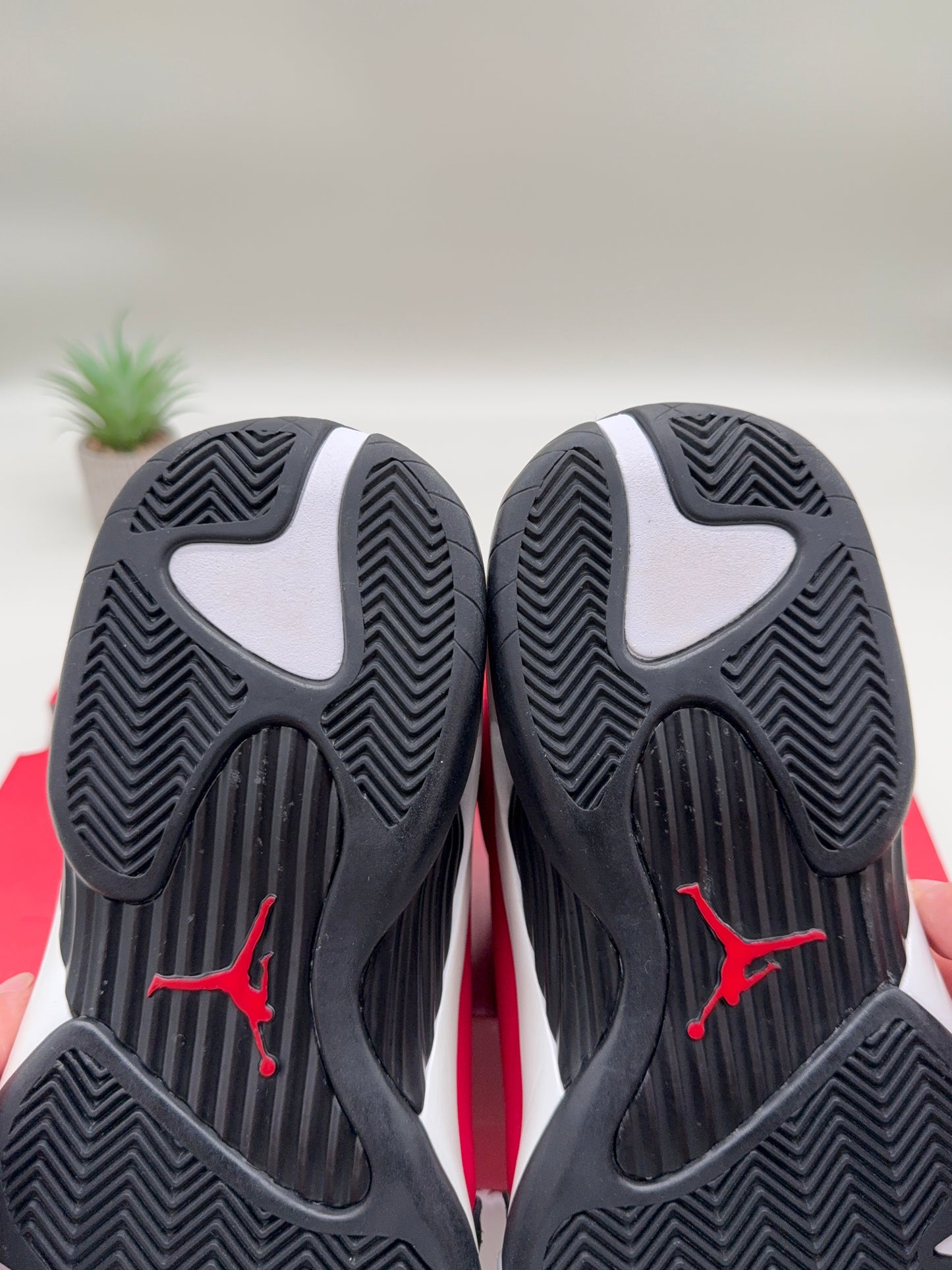 Jordan 14 Gym Red Toro