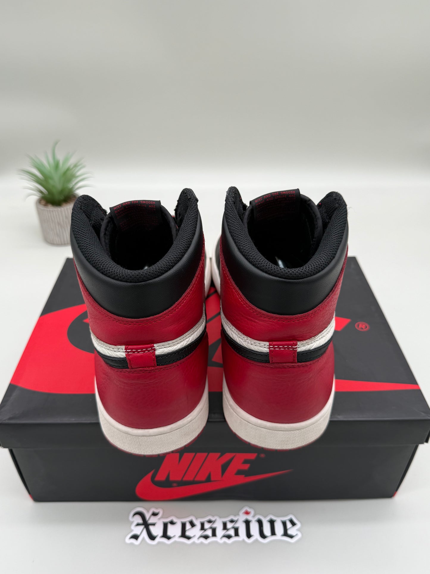 Jordan 1 Bred Toe