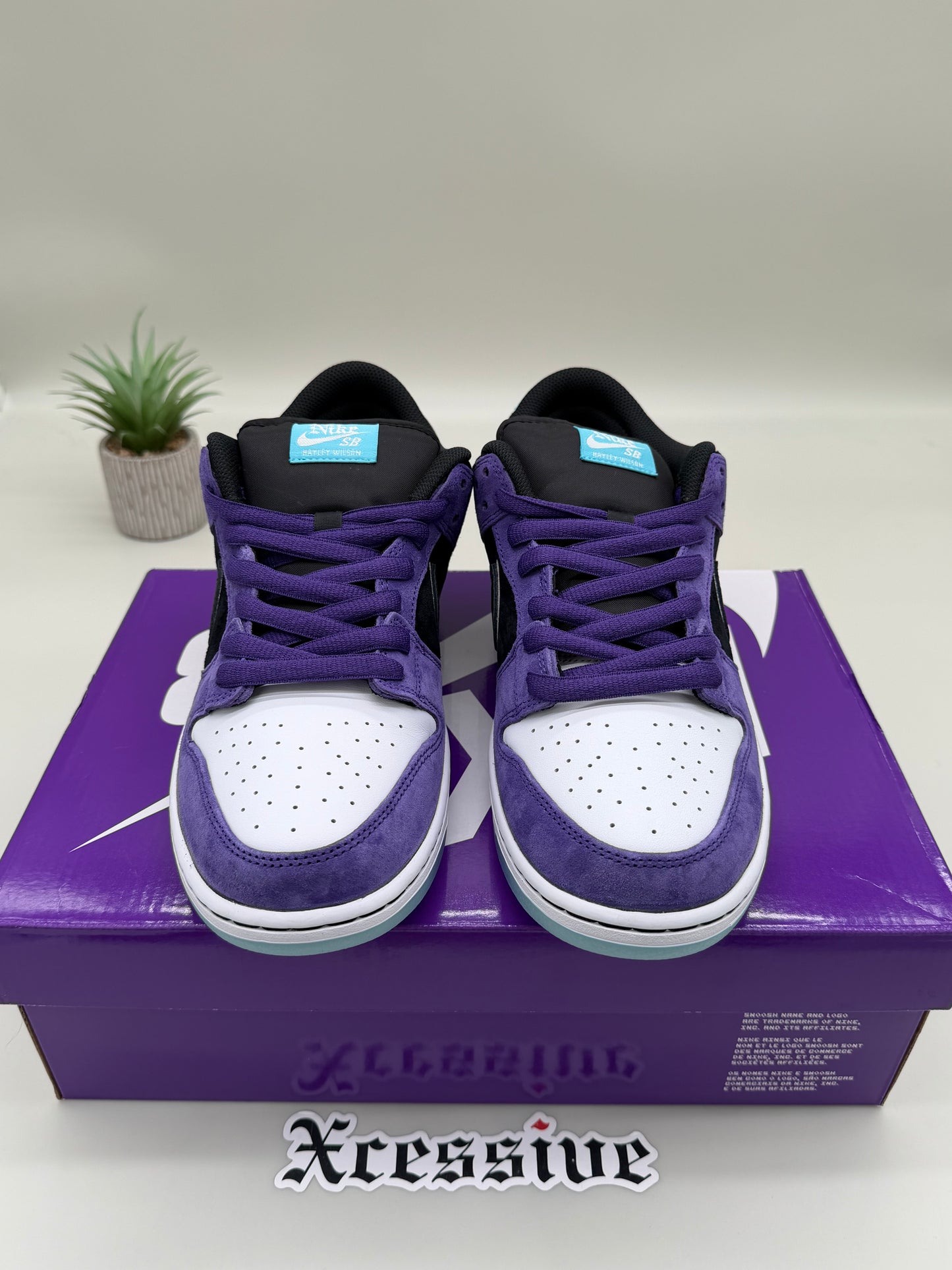 Nike SB Dunk Low Hayley Wilson