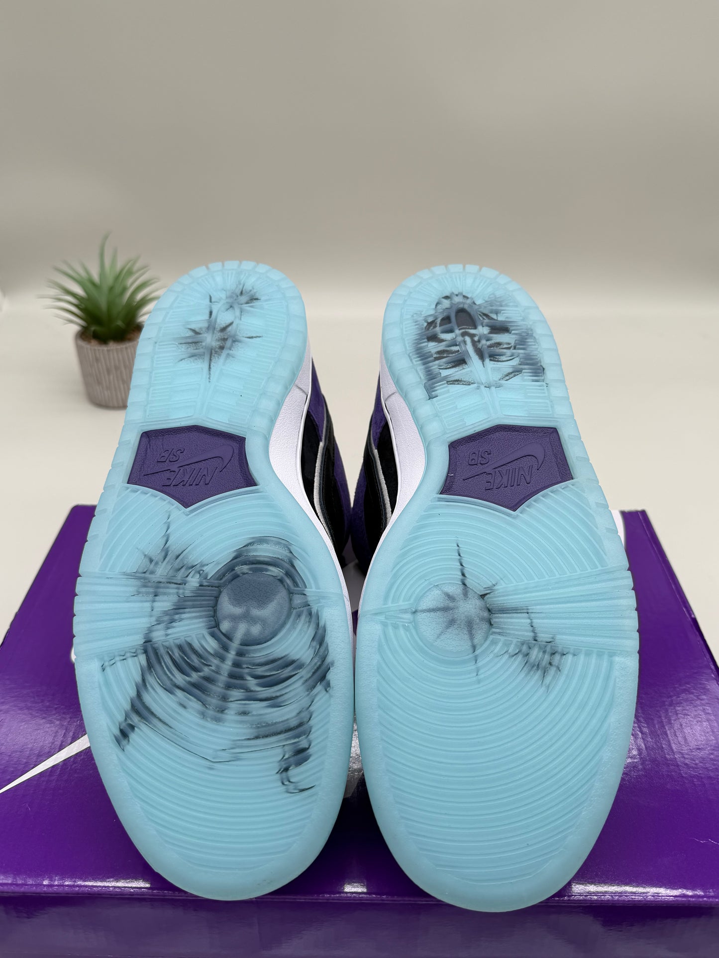 Nike SB Dunk Low Hayley Wilson