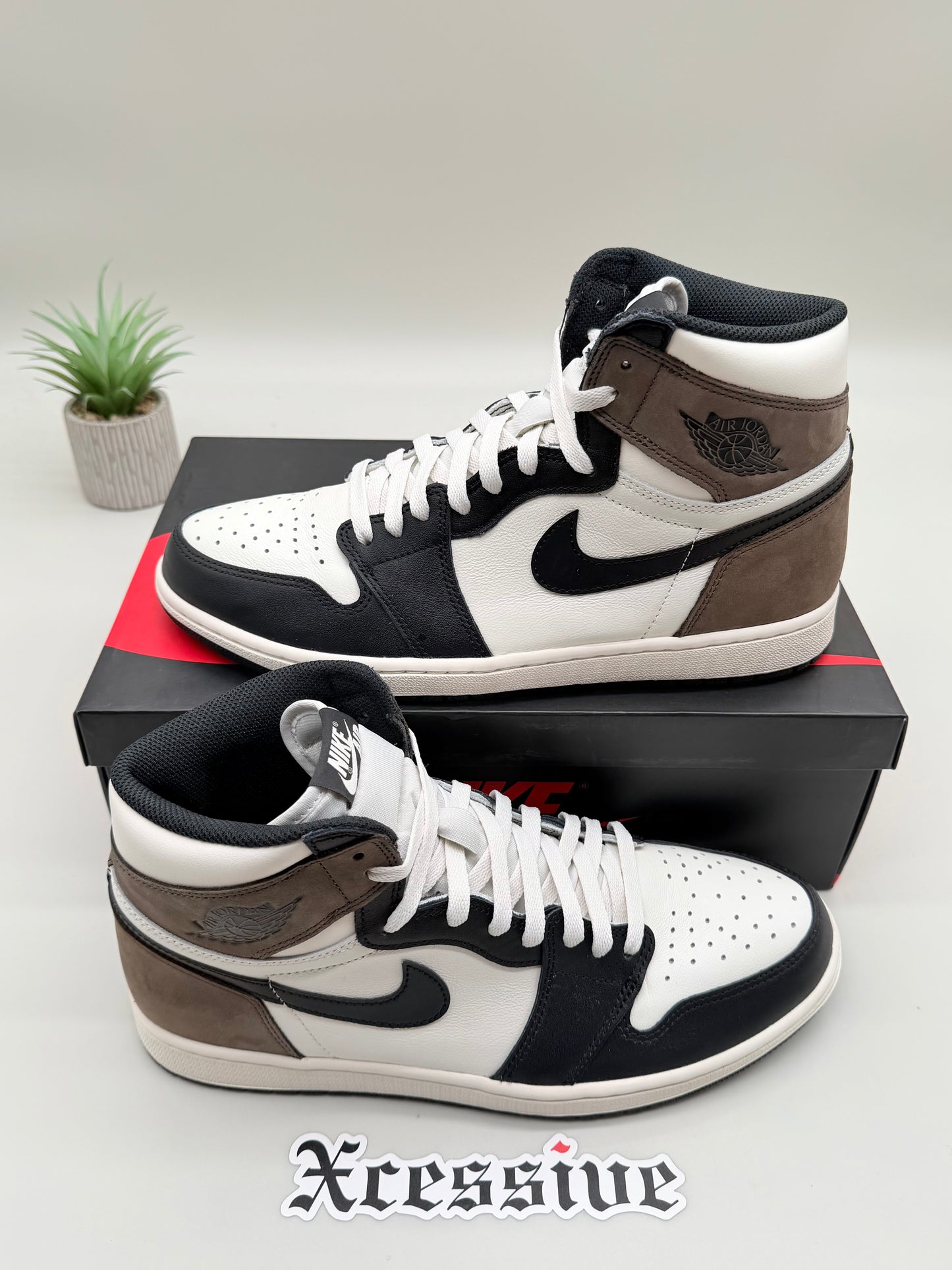 Jordan 1 Mocha