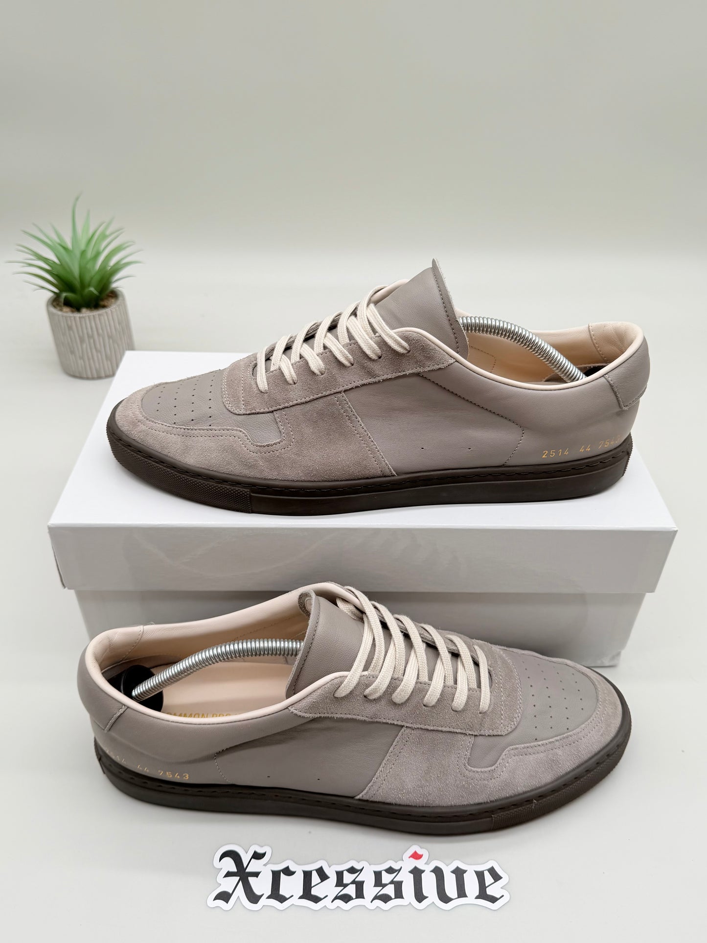 Common Projects BBall Slim Gray
