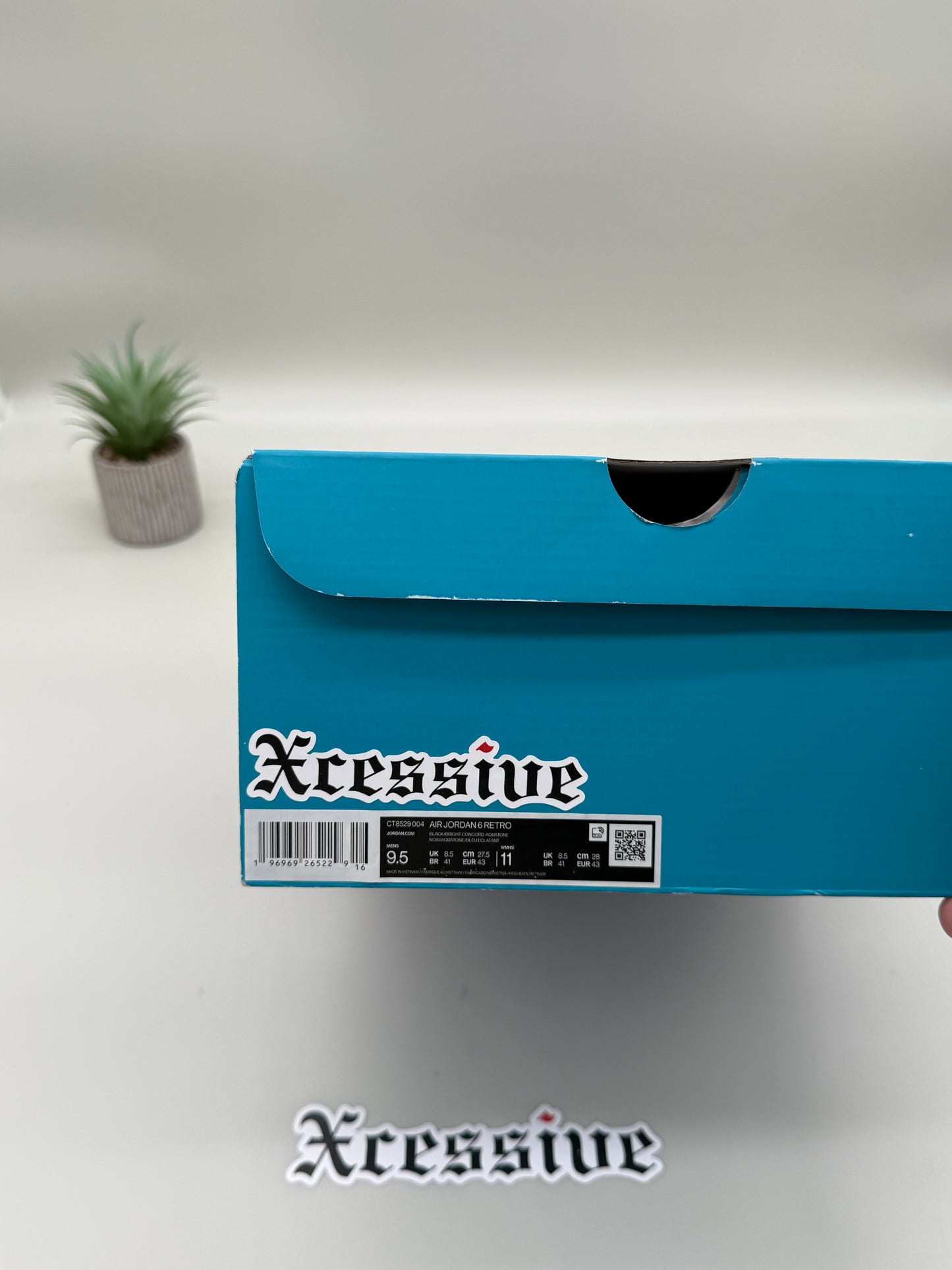 Jordan 6 Aqua