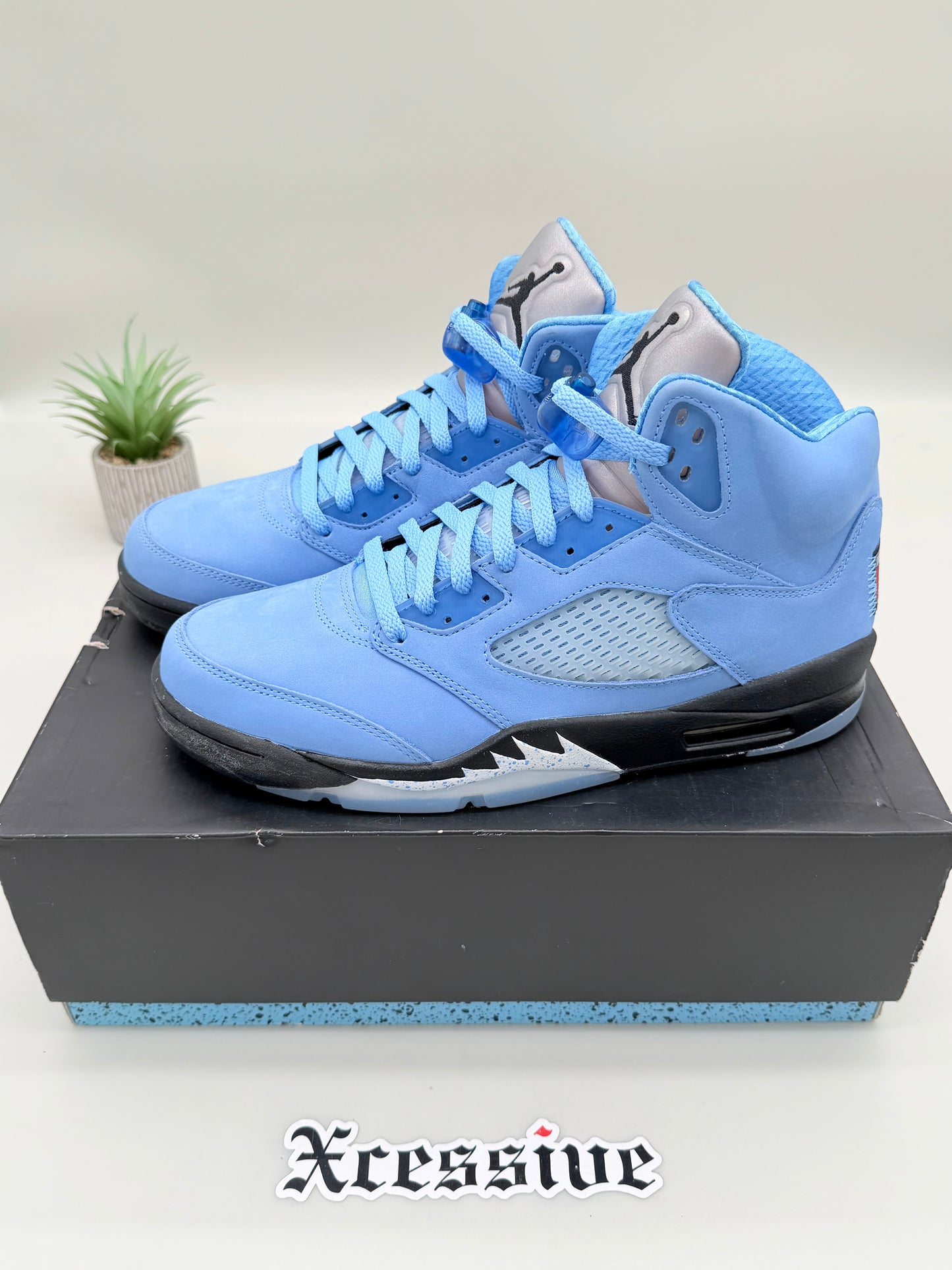 Jordan 5 UNC