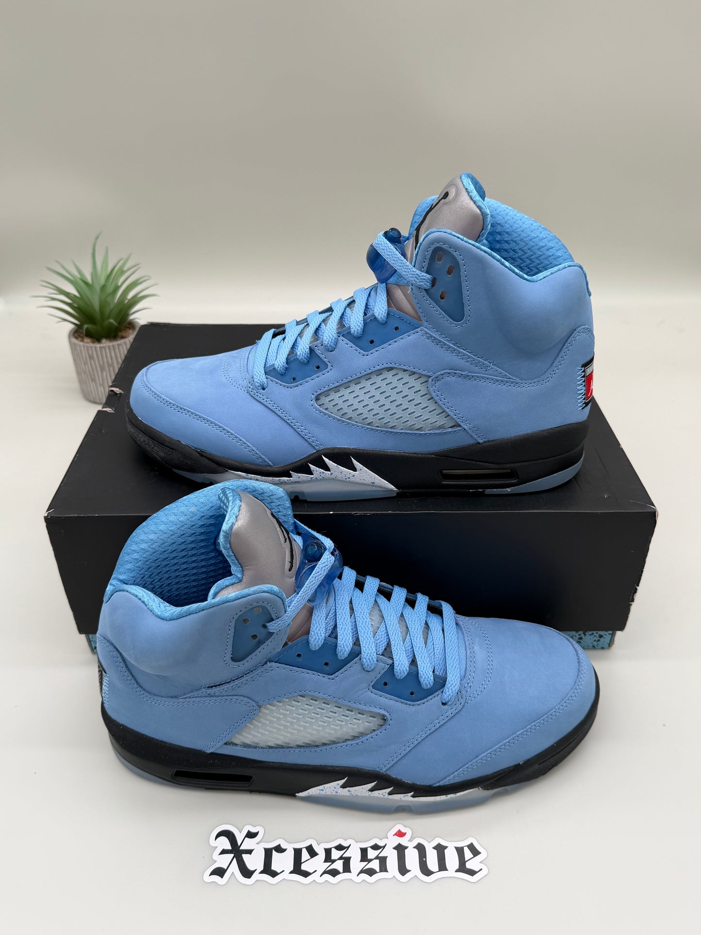 Jordan 5 UNC