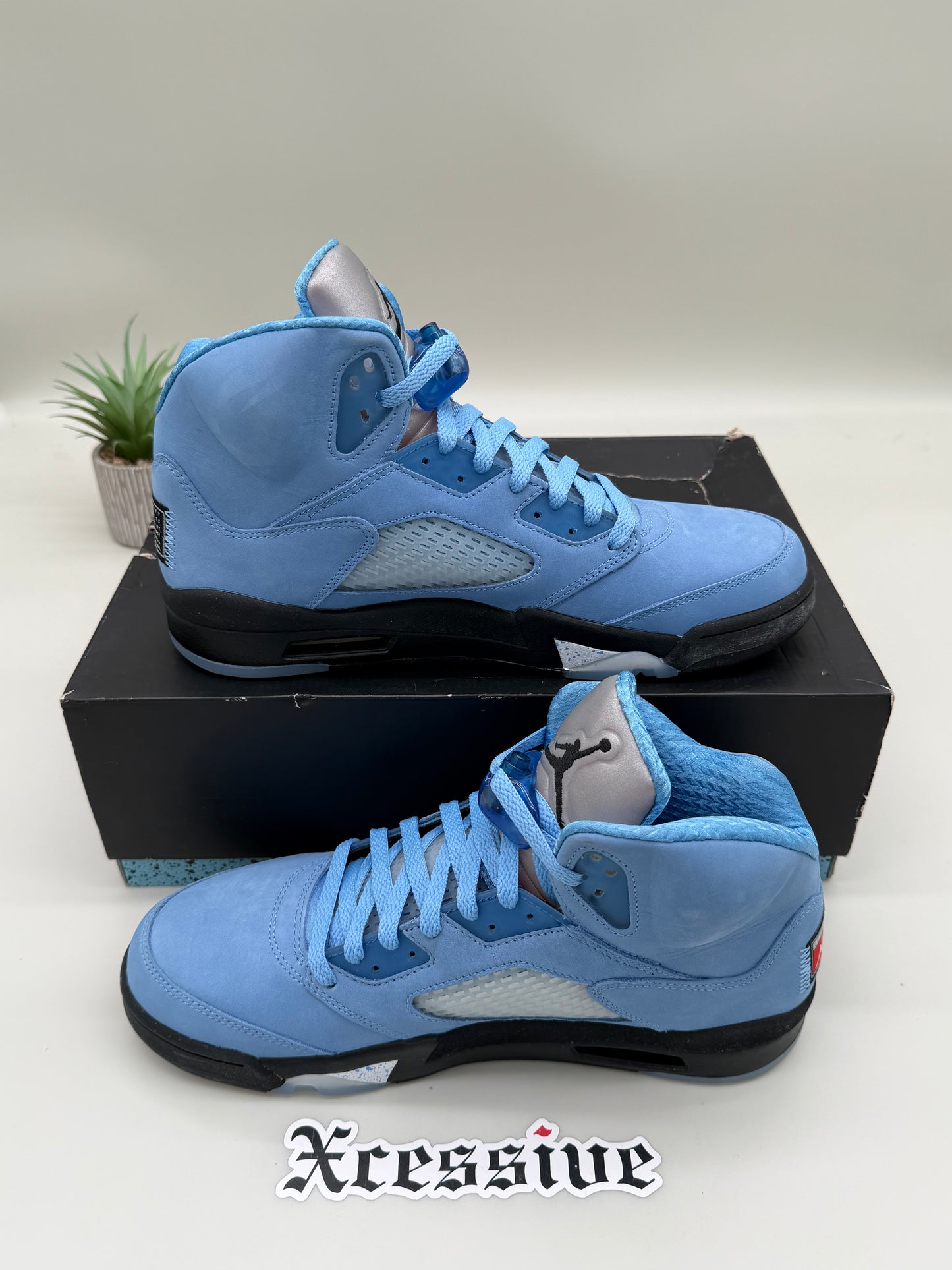 Jordan 5 UNC