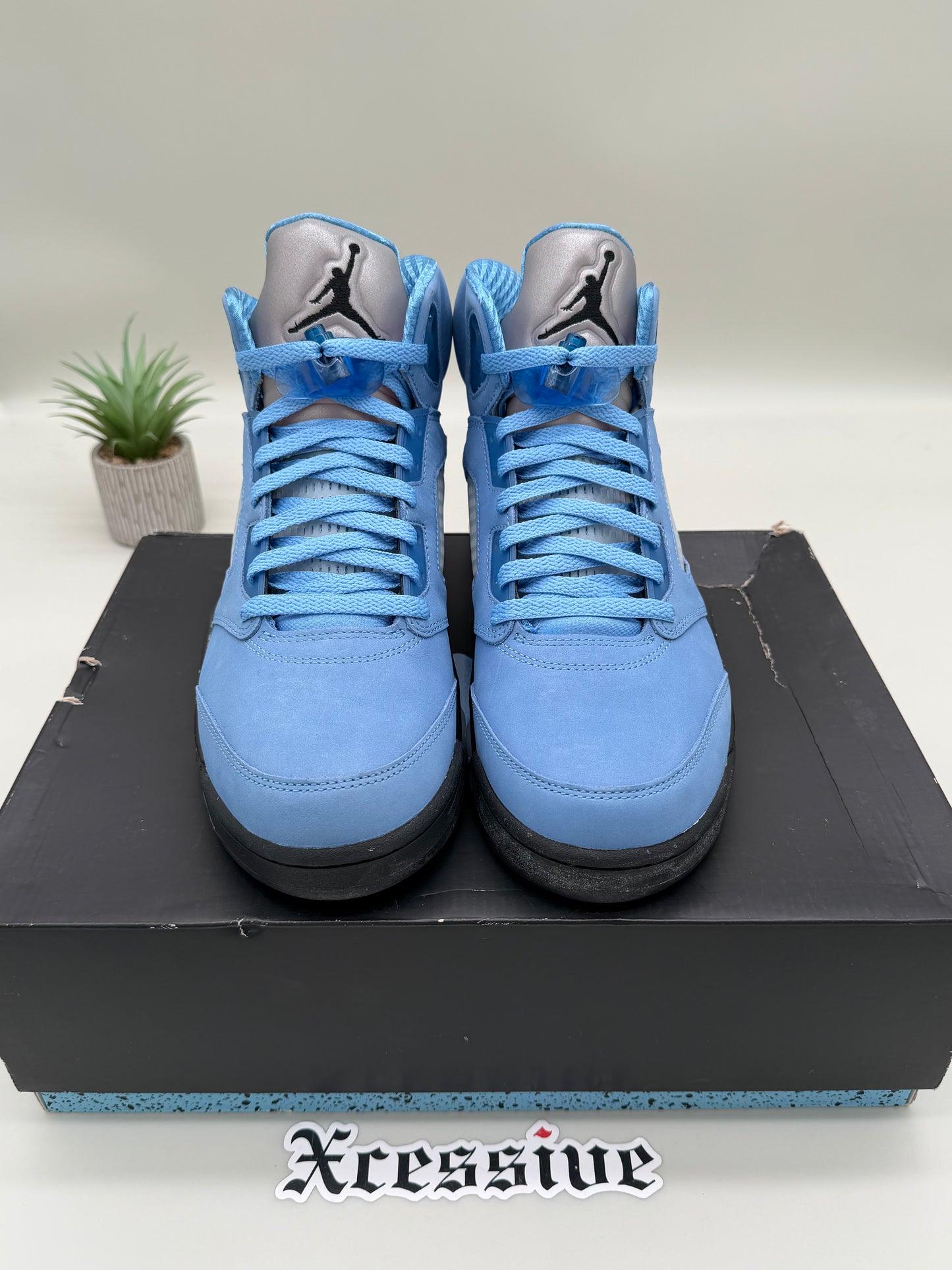 Jordan 5 UNC