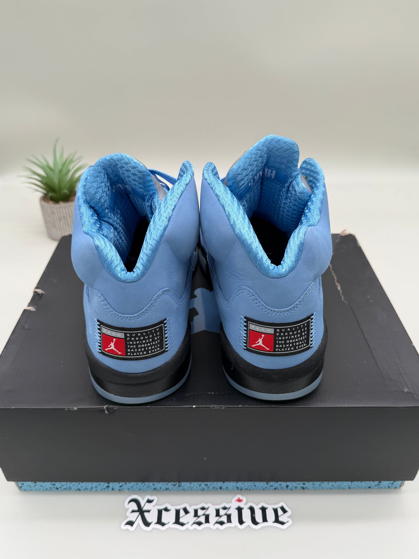 Jordan 5 UNC