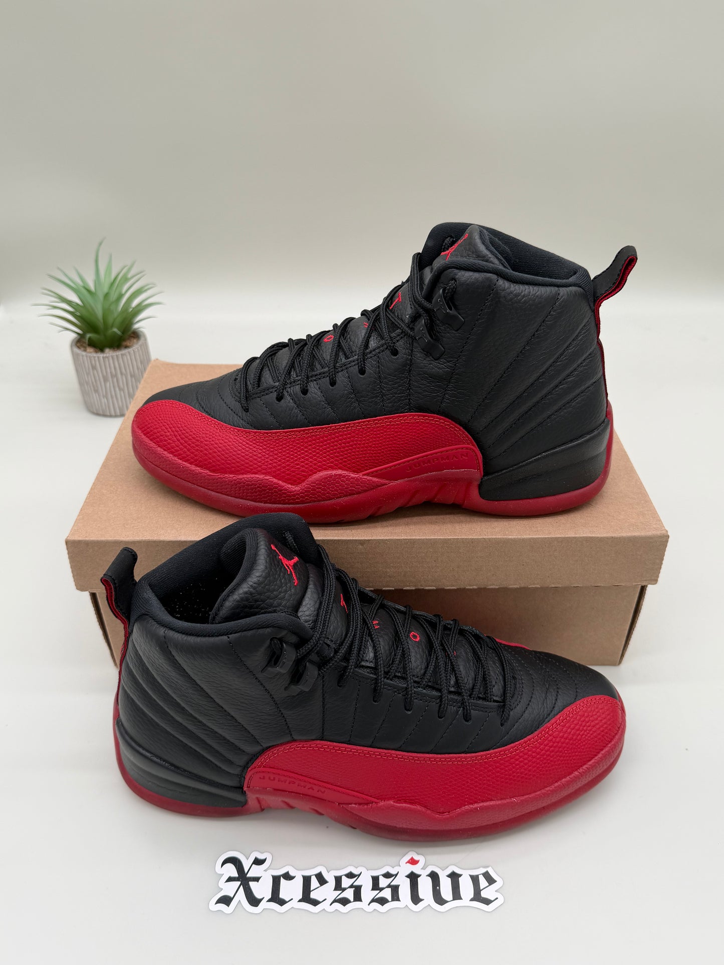 Jordan 12 Flu Game