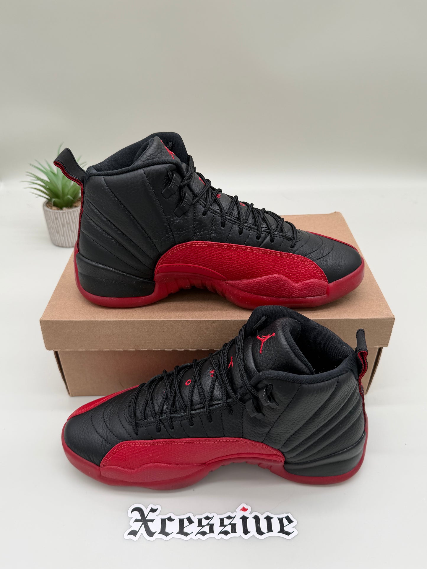 Jordan 12 Flu Game