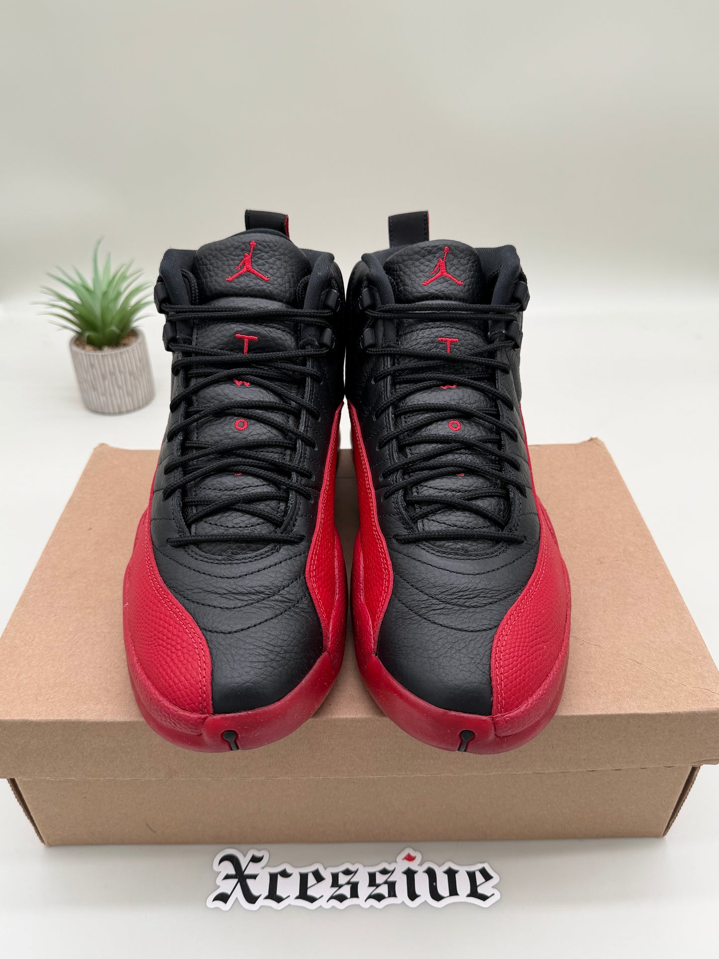 Jordan 12 Flu Game