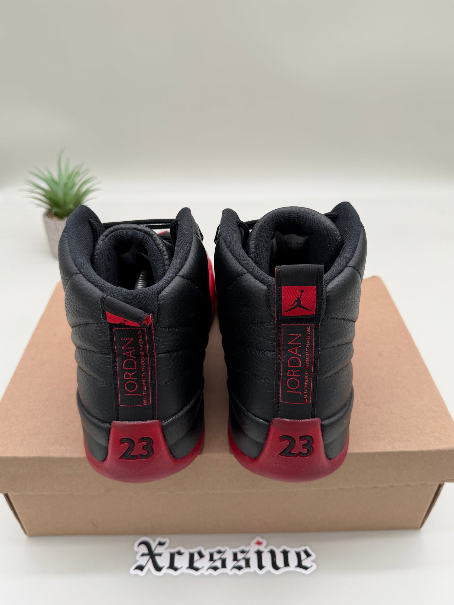 Jordan 12 Flu Game