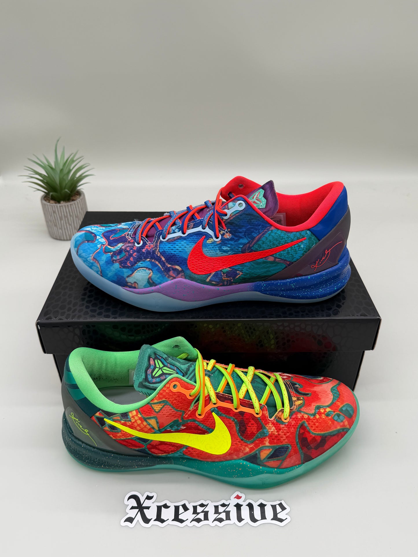 Nike Kobe 8 What The