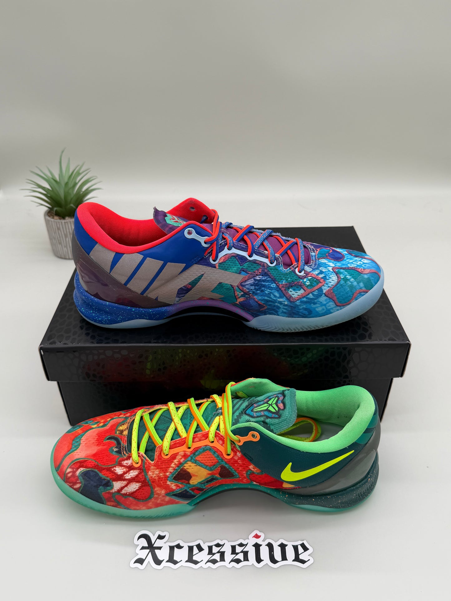 Nike Kobe 8 What The