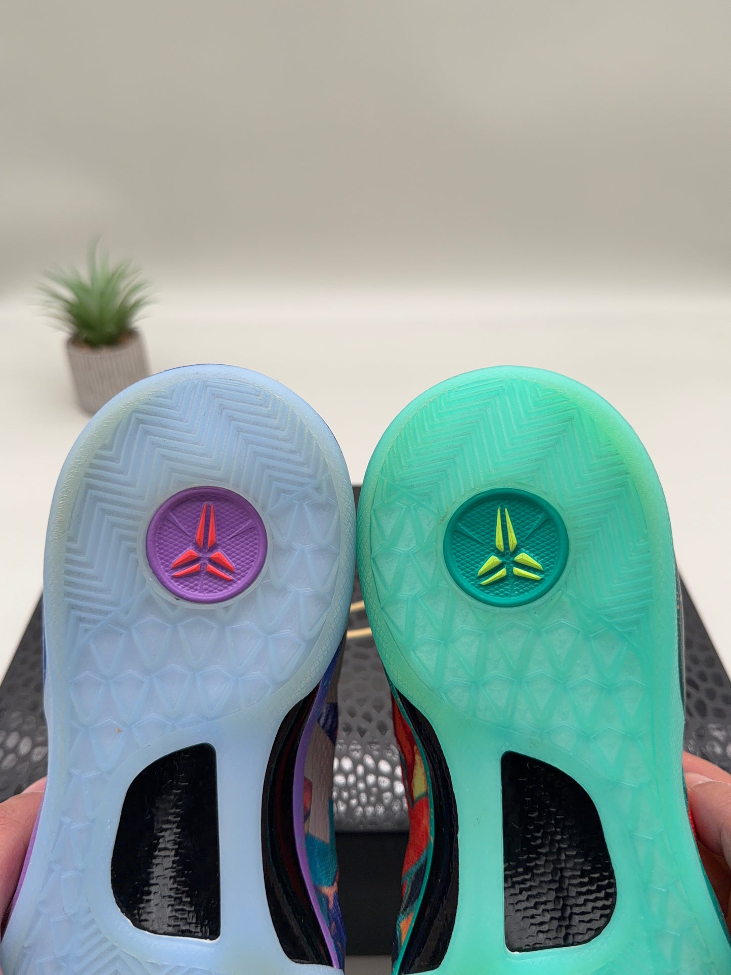 Nike Kobe 8 What The