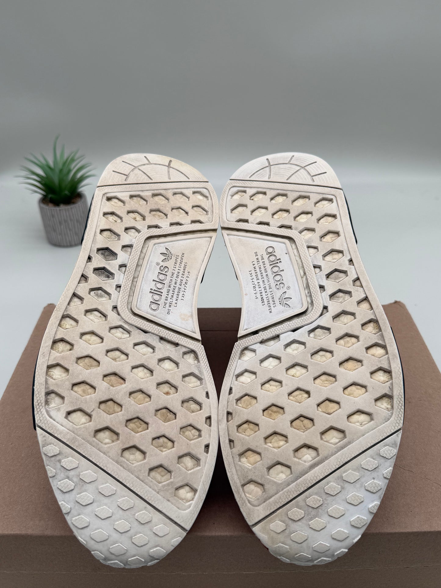 adidas NMD Pharrell Human Race Scarlet Red