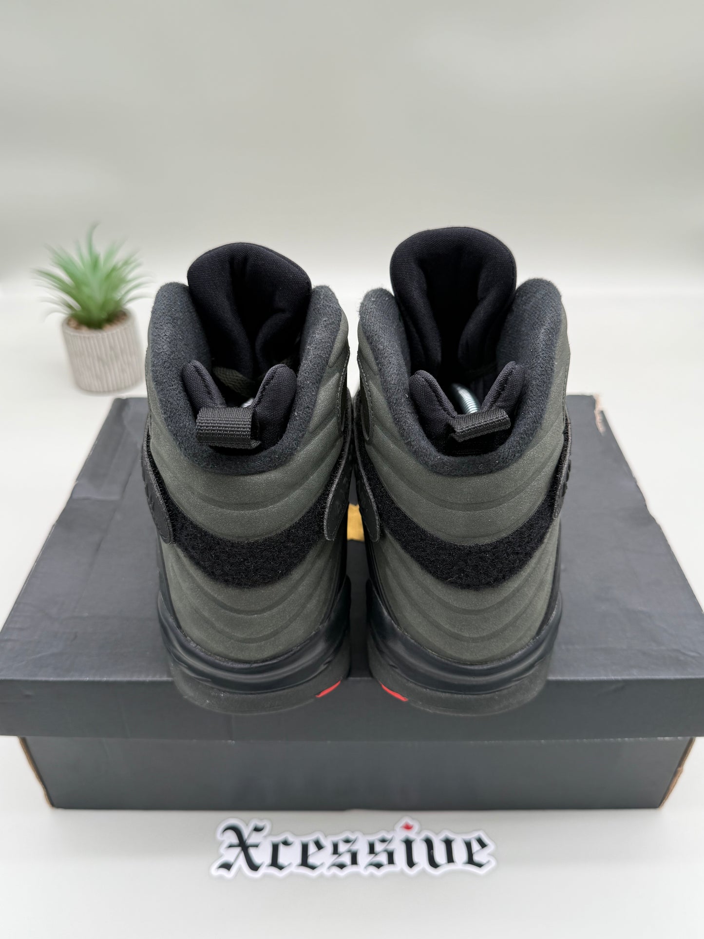 Jordan 8 Take Flight Undefeated