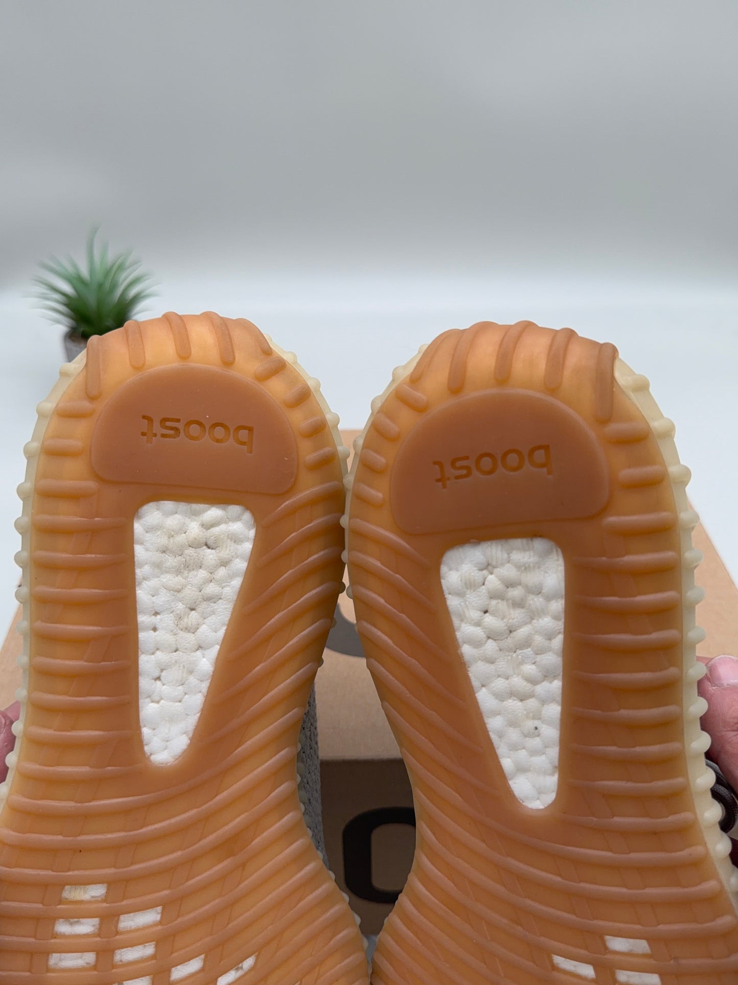 adidas Yeezy Boost 350 V2 Sesame
