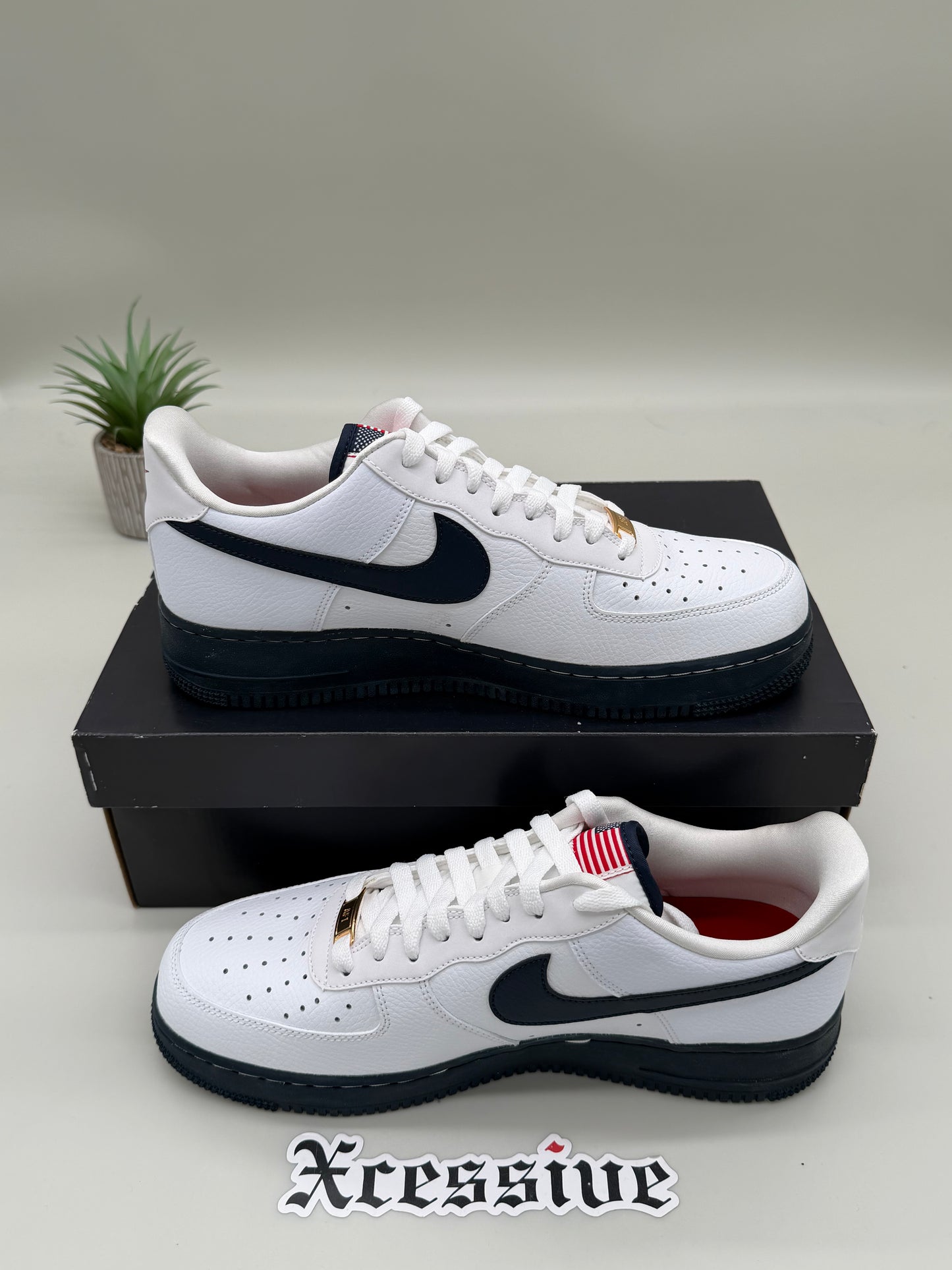 Nike Air Force 1 USA
