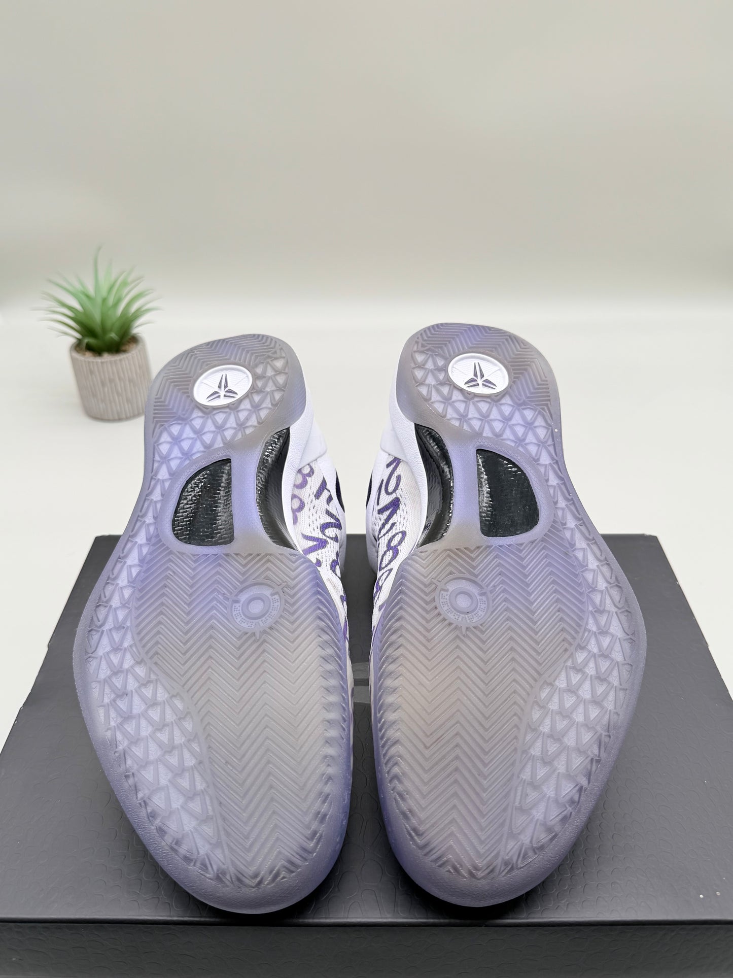 Nike Kobe 8 Court Purple