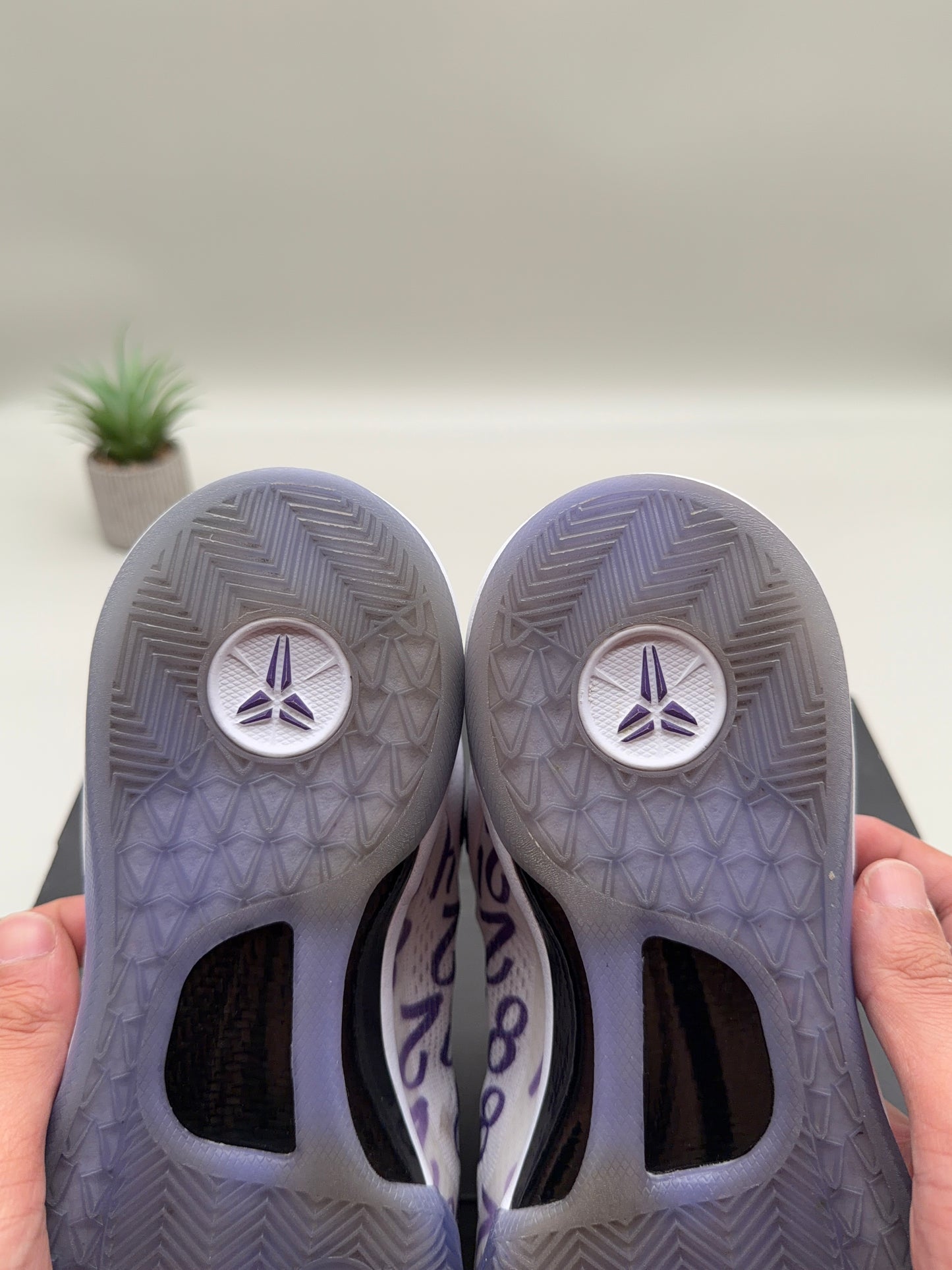 Nike Kobe 8 Court Purple