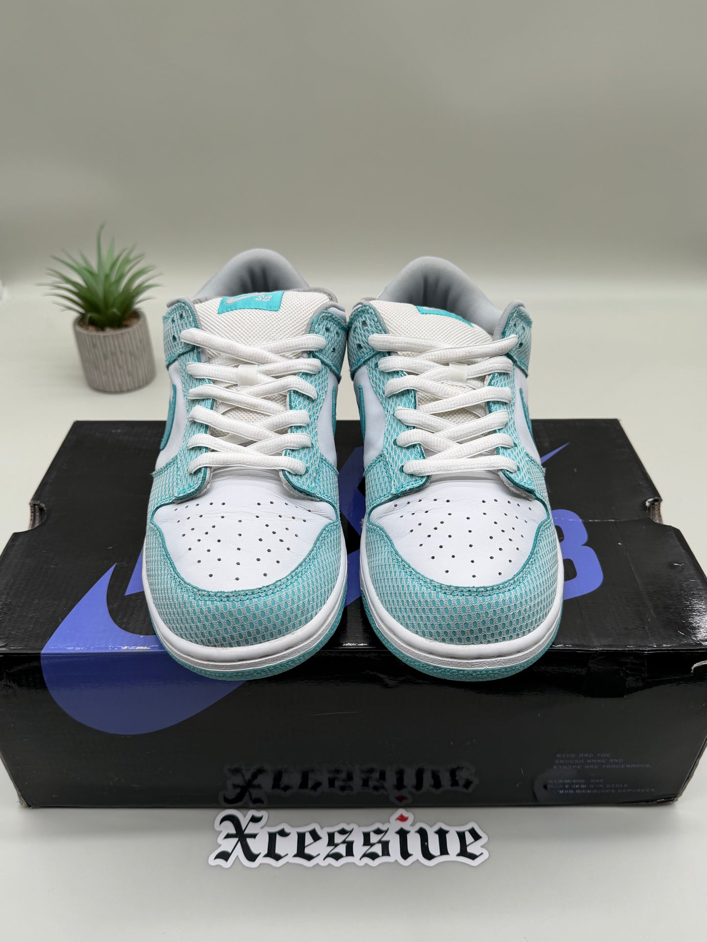 Nike SB Dunk Low High Hair