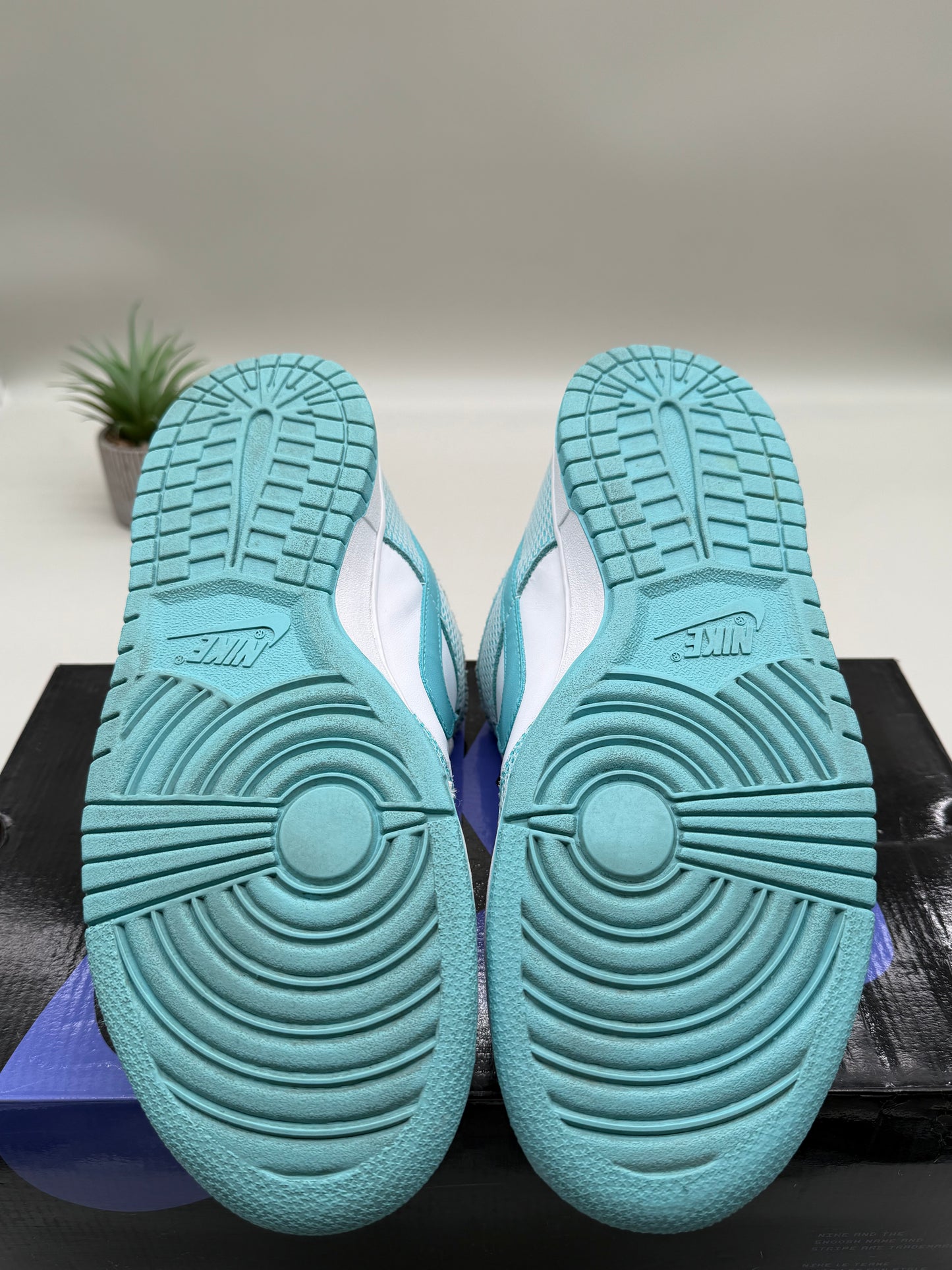 Nike SB Dunk Low High Hair