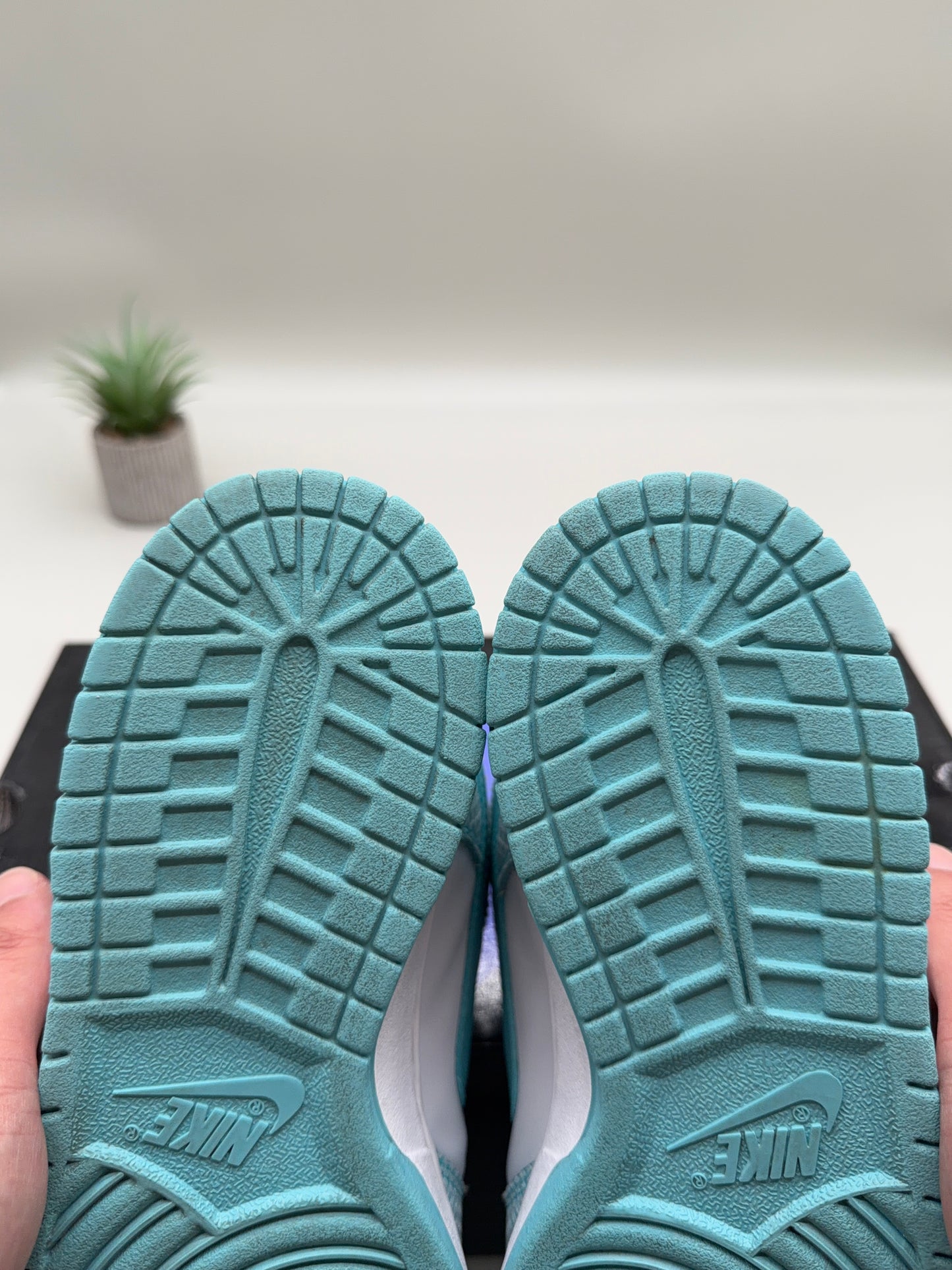 Nike SB Dunk Low High Hair