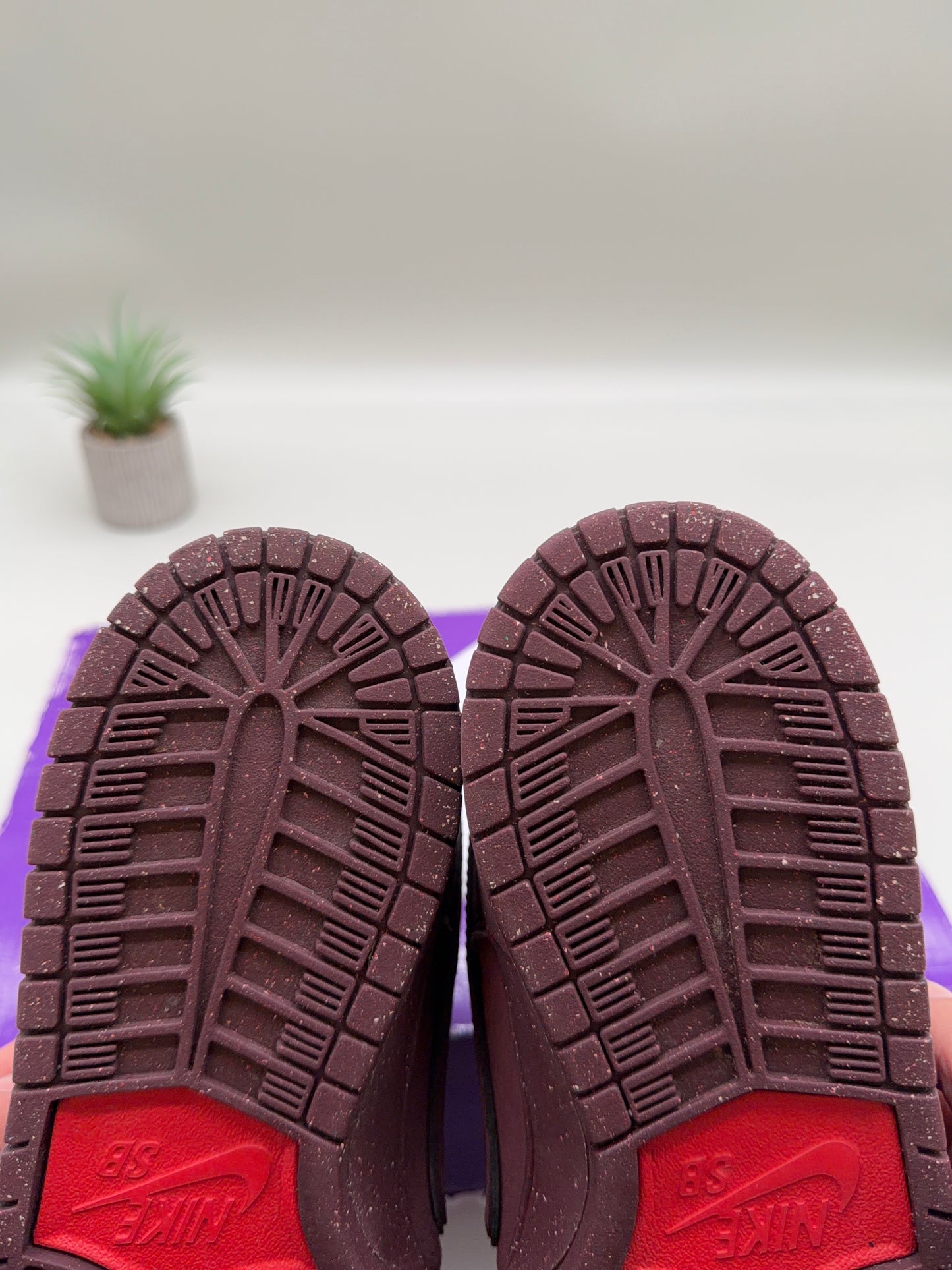 Nike SB Dunk Low City of Love Burgundy Crush