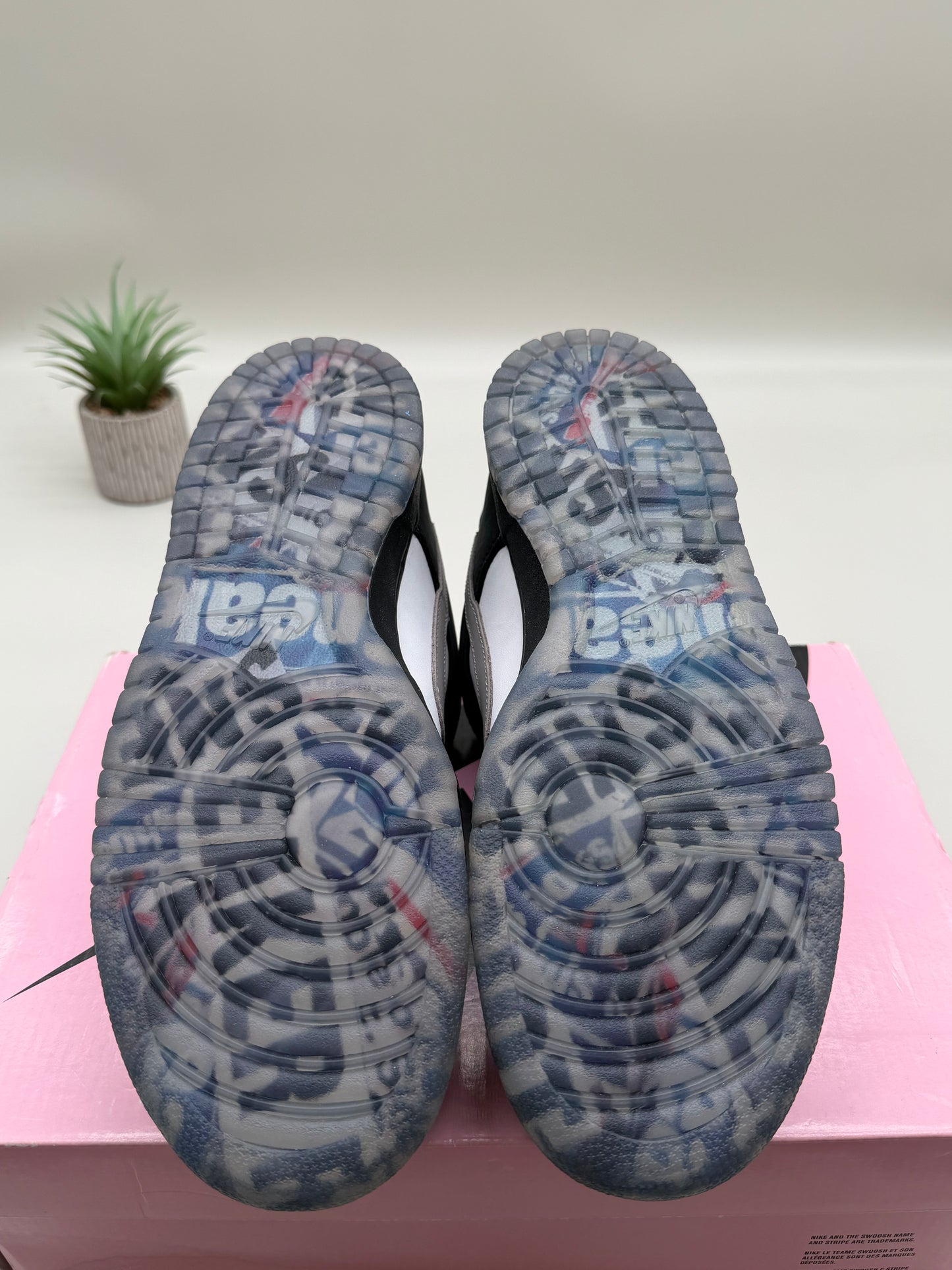 Nike SB Dunk Low Panda Pigeon