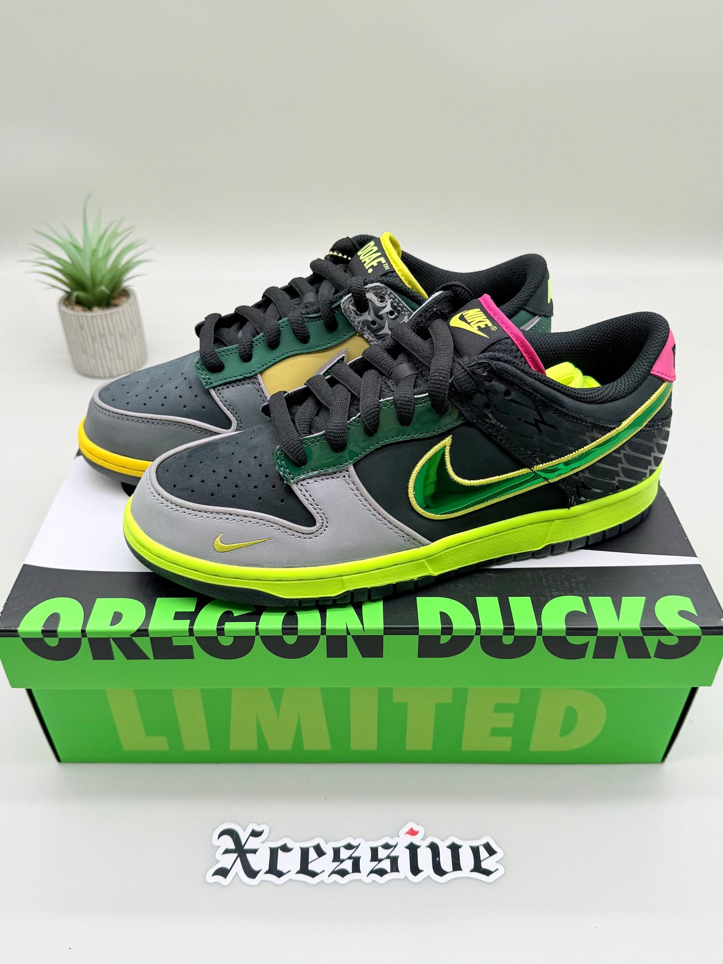 Nike Dunk Low What the Duck Home Oregon