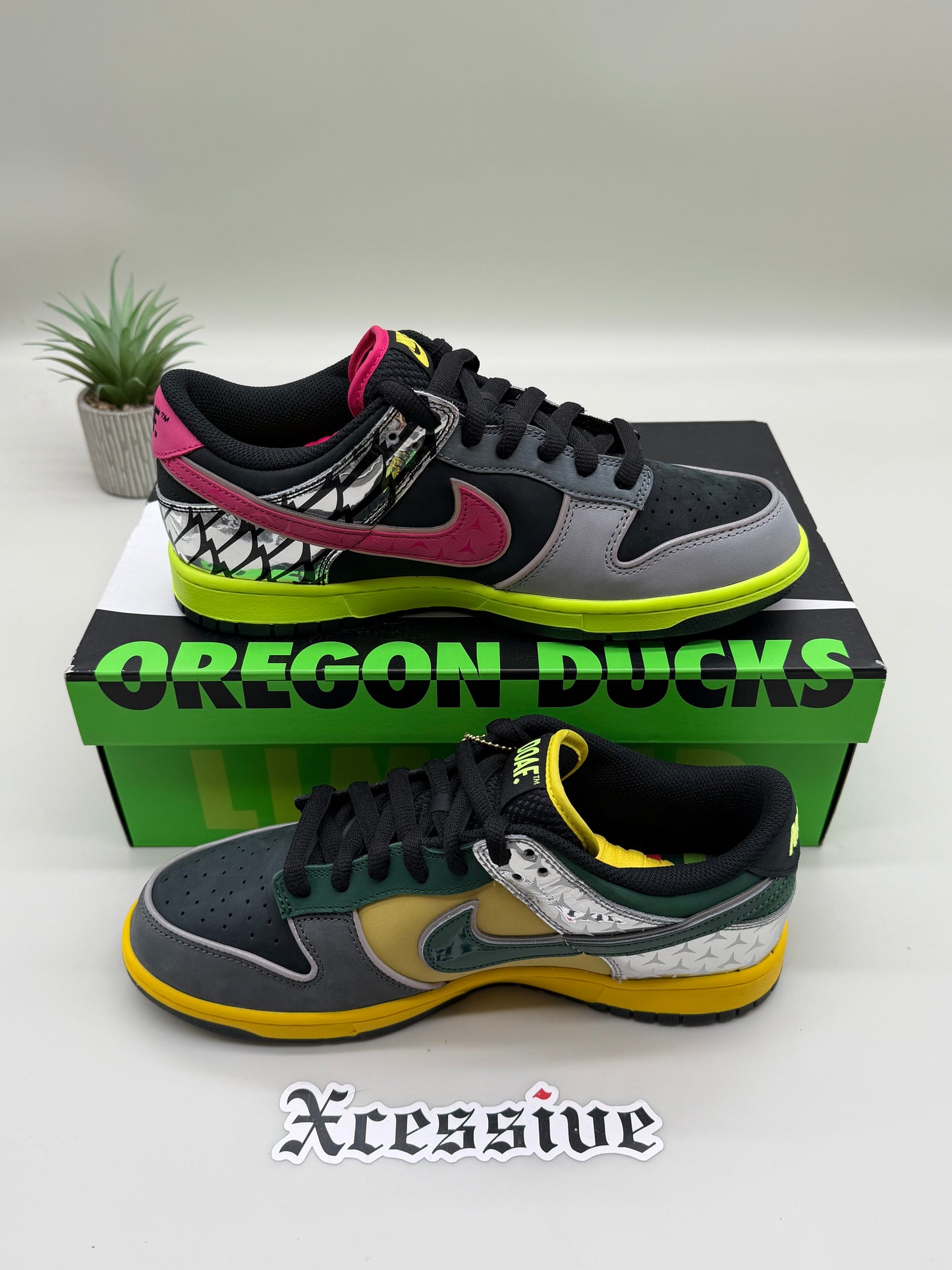 Nike Dunk Low What the Duck Home Oregon