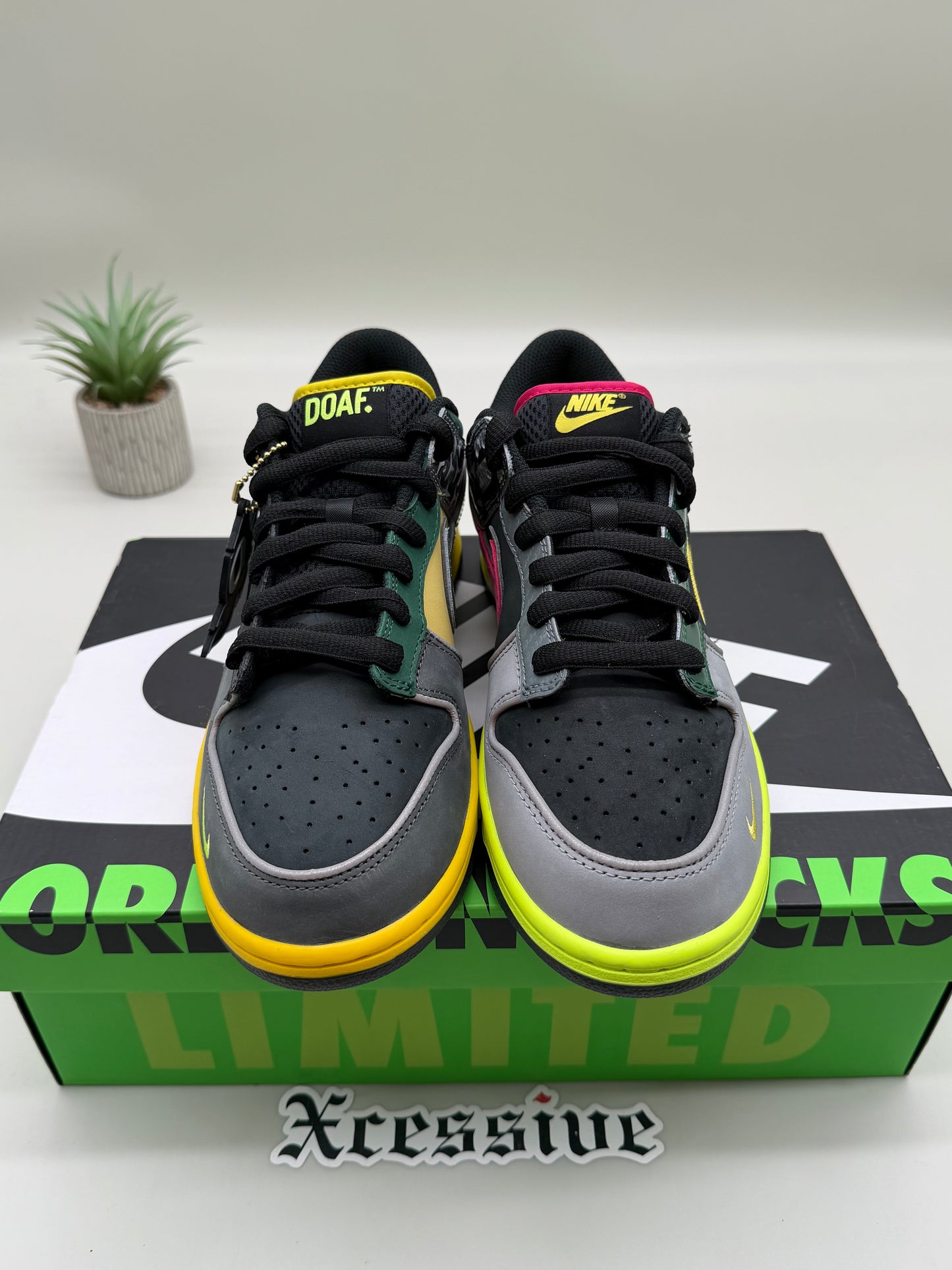 Nike Dunk Low What the Duck Home Oregon