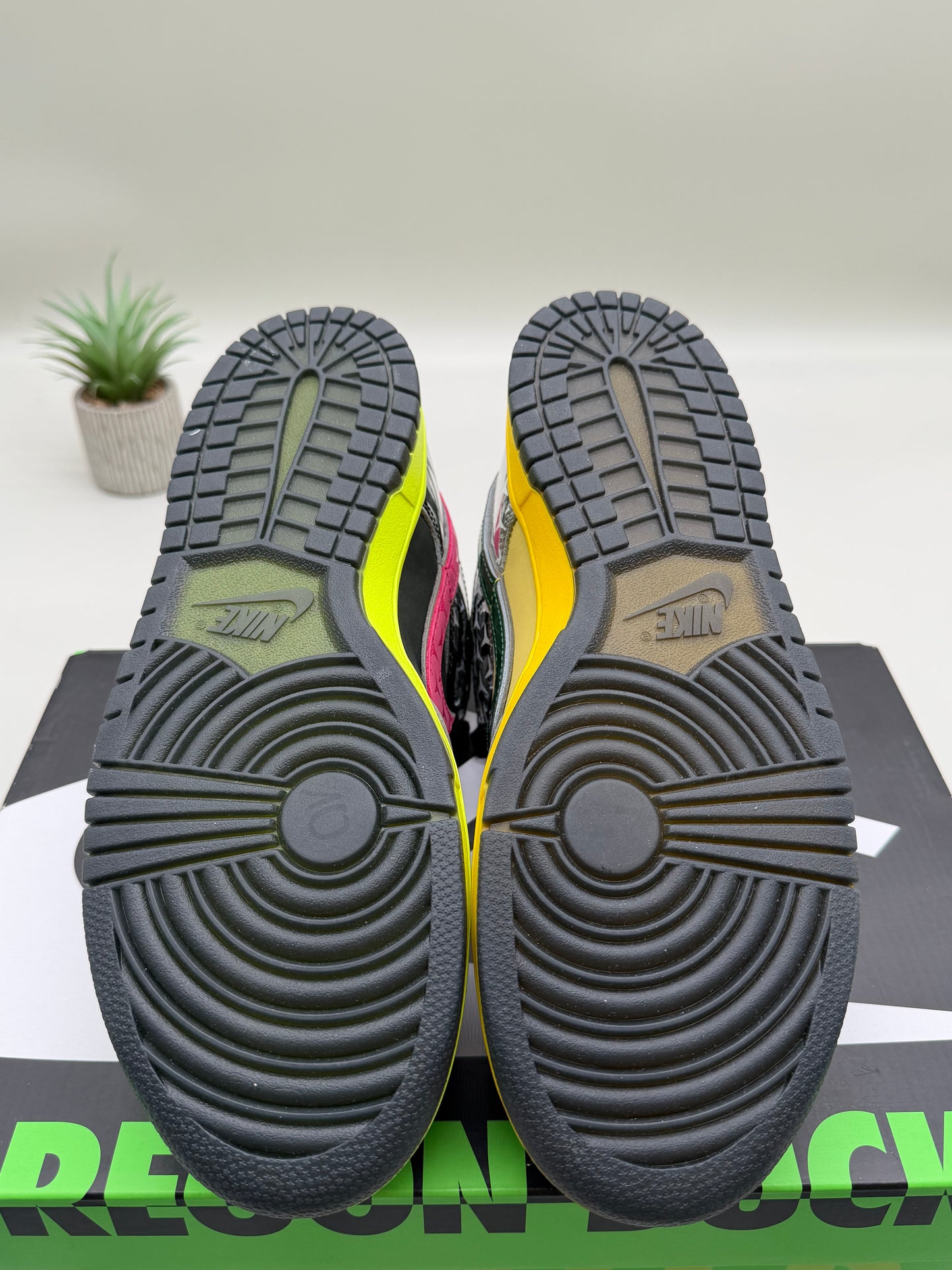 Nike Dunk Low What the Duck Home Oregon