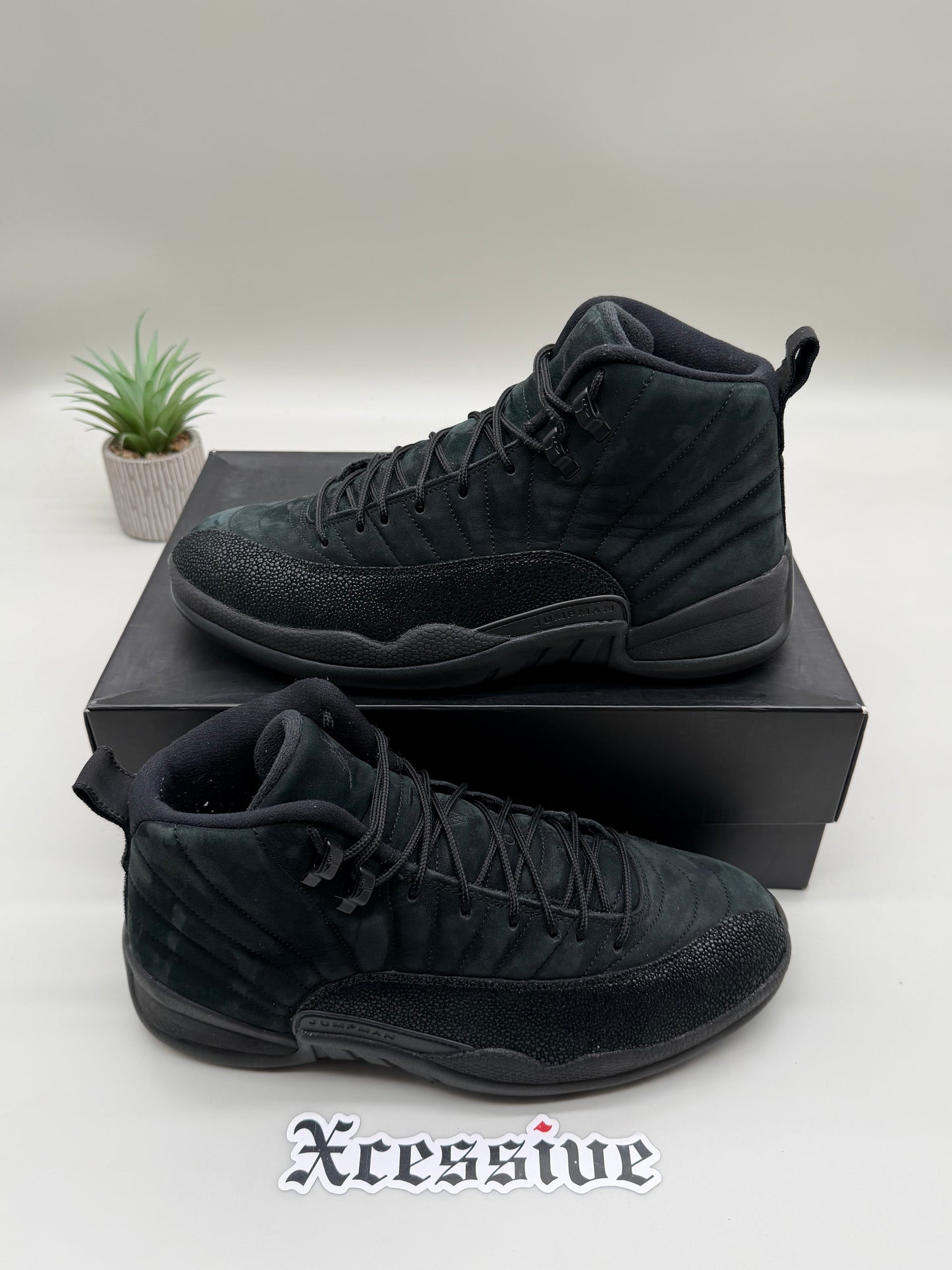 Jordan 12 OVO Black