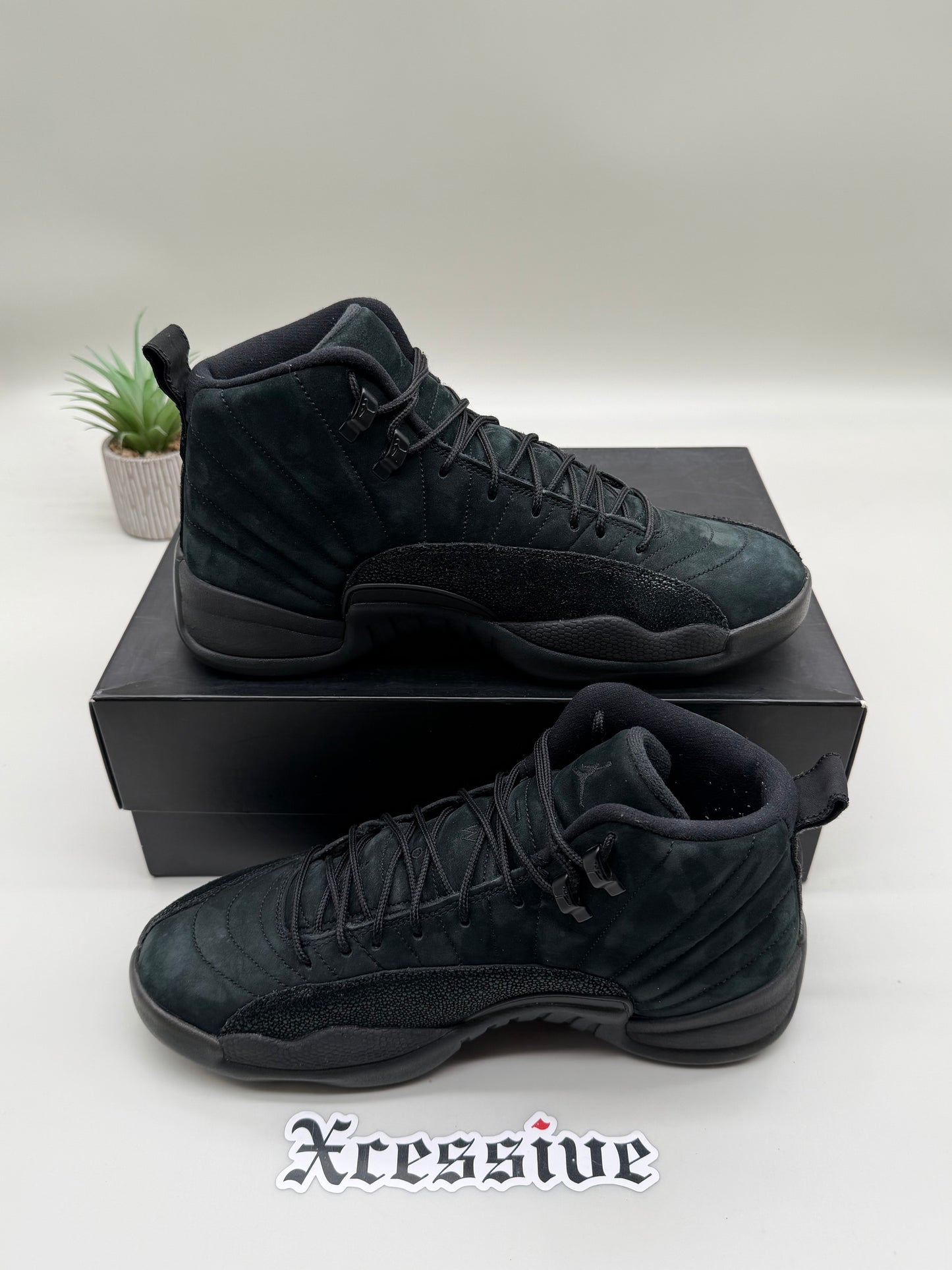 Jordan 12 OVO Black