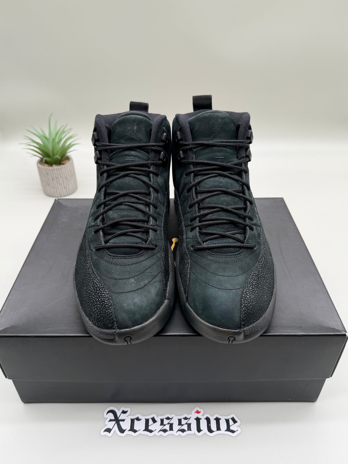 Jordan 12 OVO Black