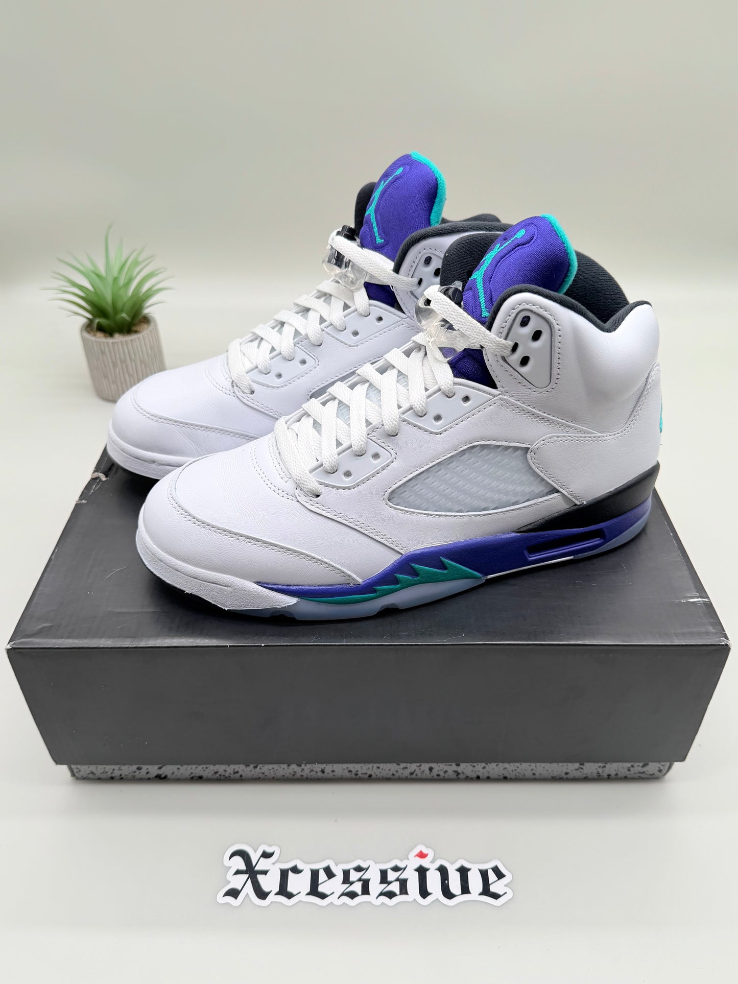 Jordan 5 Grape