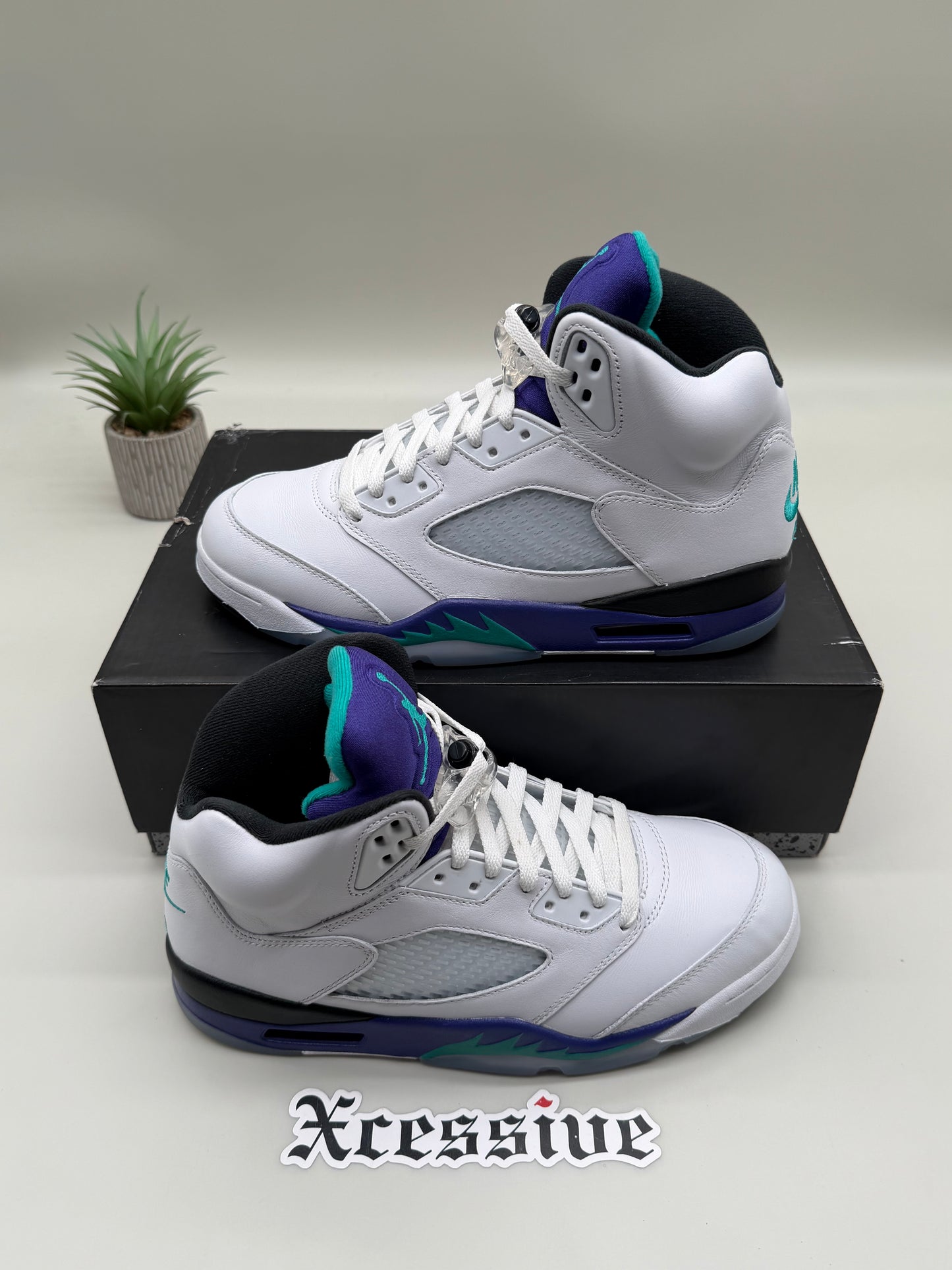 Jordan 5 Grape